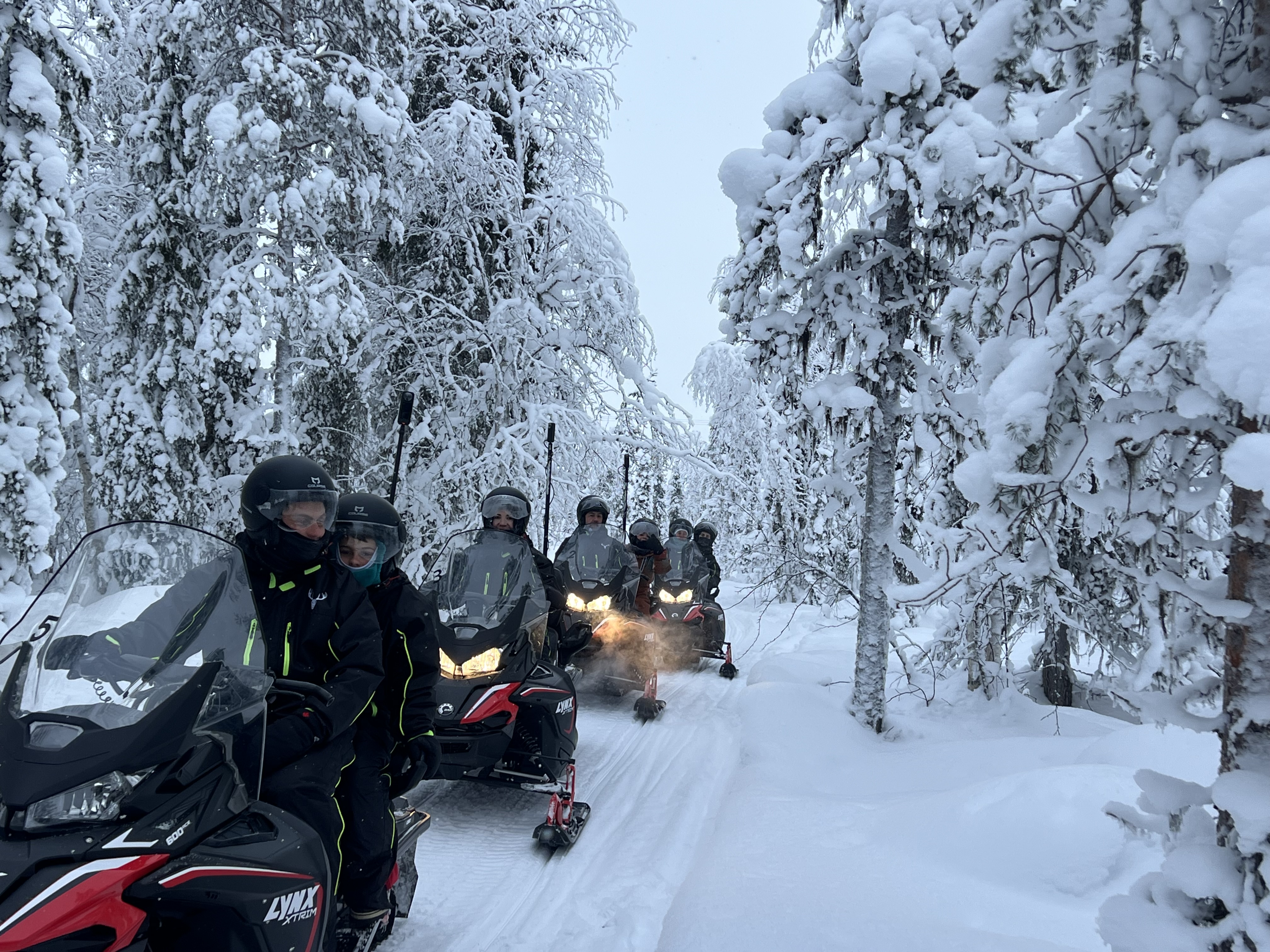 A SNOWMOBILE SAFARI 2,5h, in snowy forest, Levi
