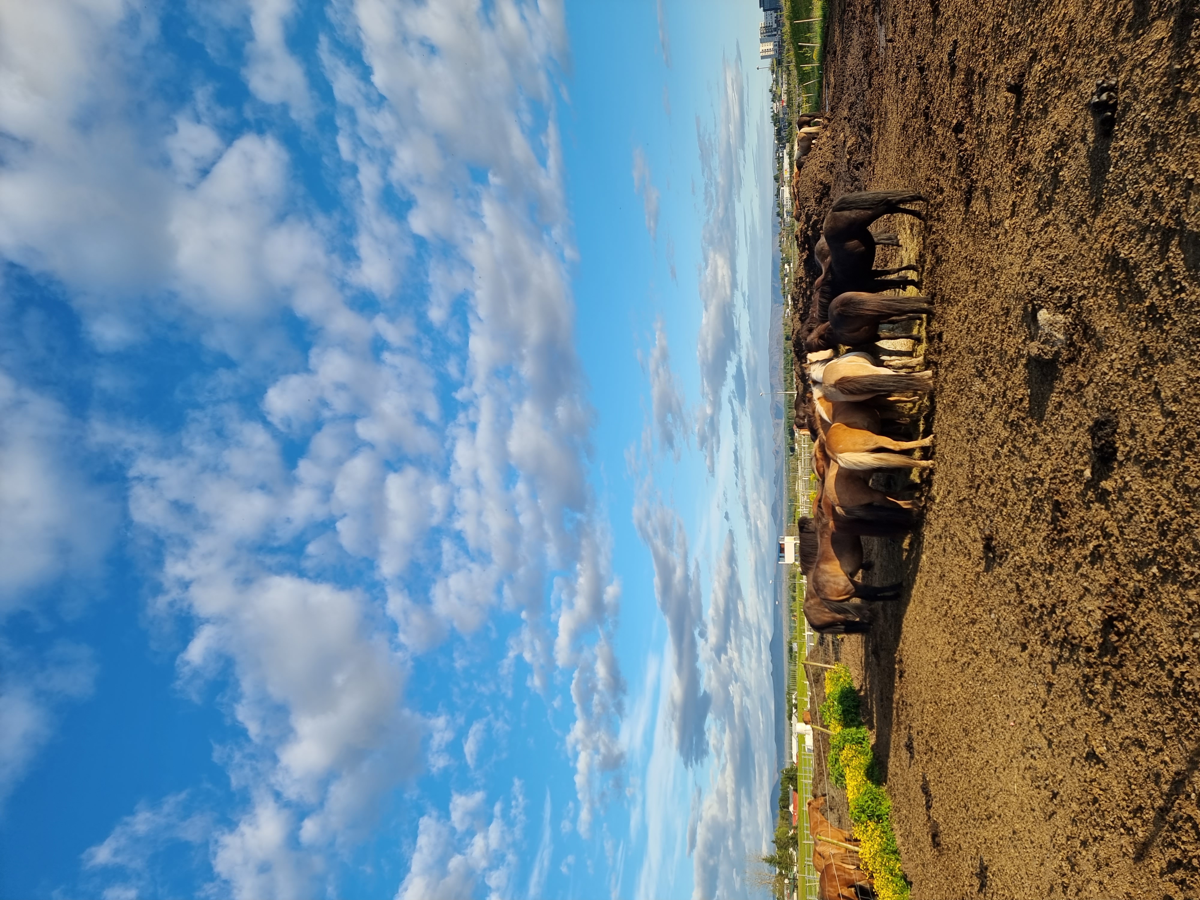 Gravel After Hours - Advanced Private Bike Tour