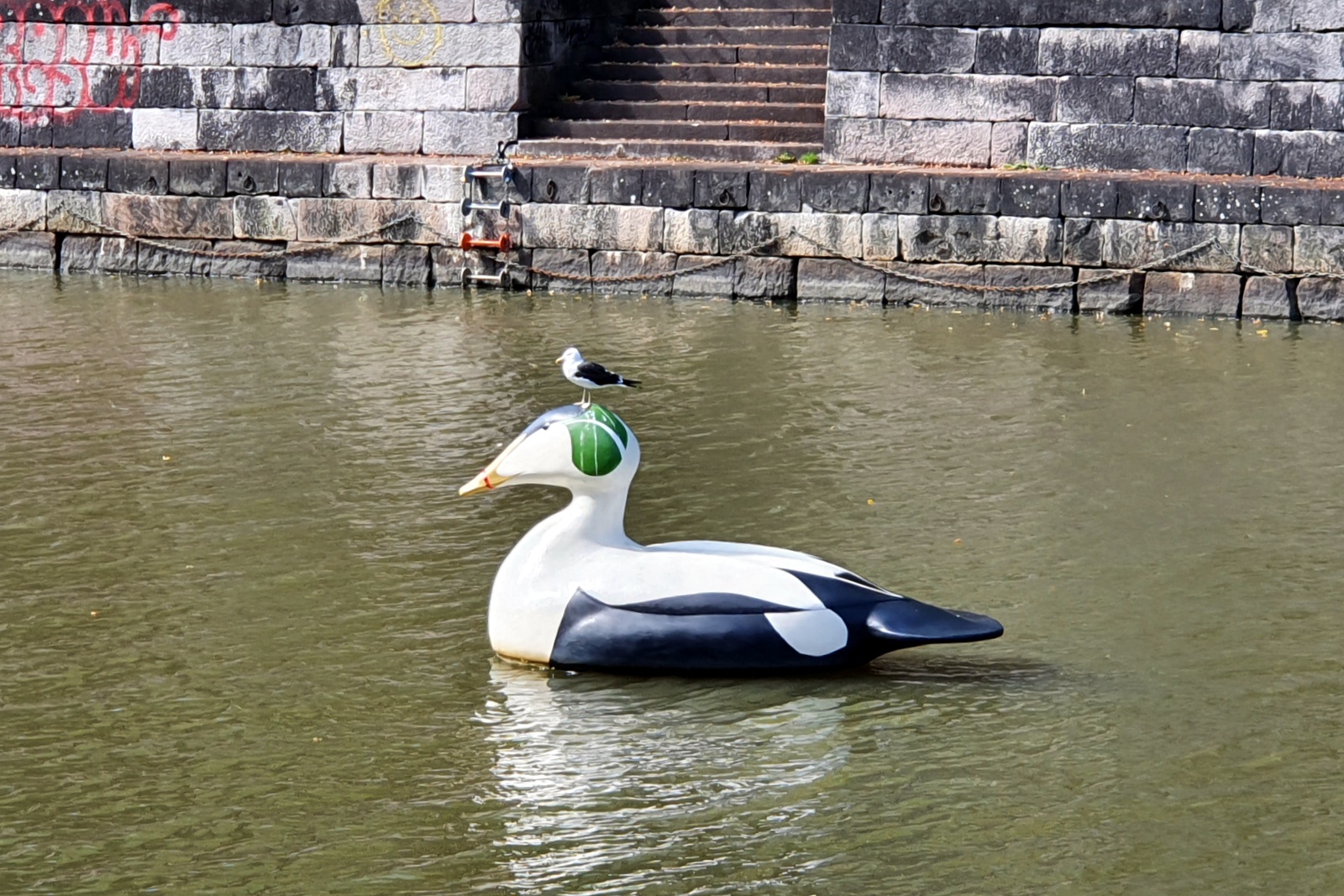 Animals of Turku Walking Tour