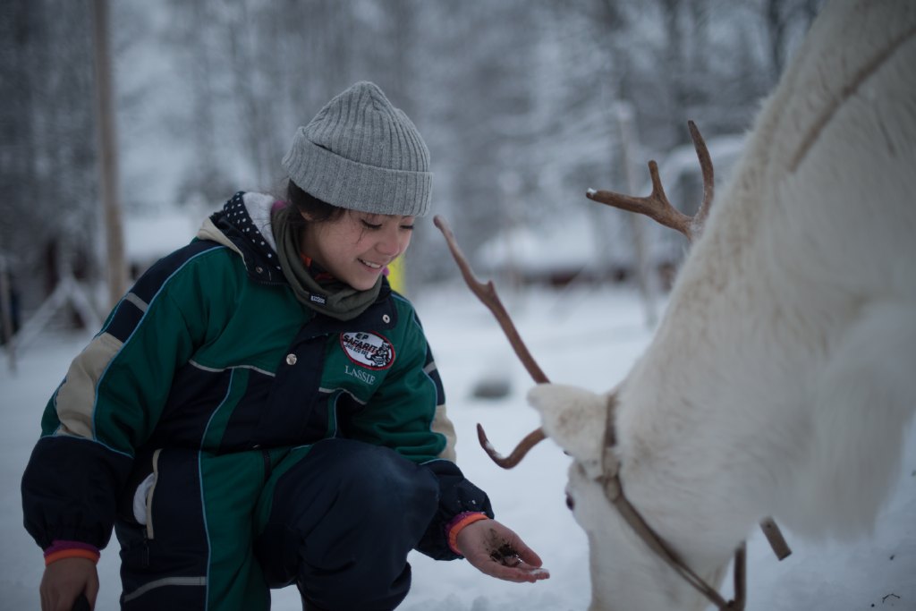 COMBINED SNOWMOBILE AND REINDEER SAFARI (1km)