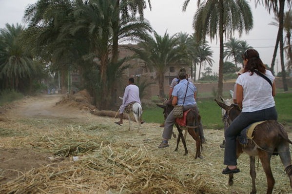 Luxor Country village Donkey Ride & Local Lunch or Dinner