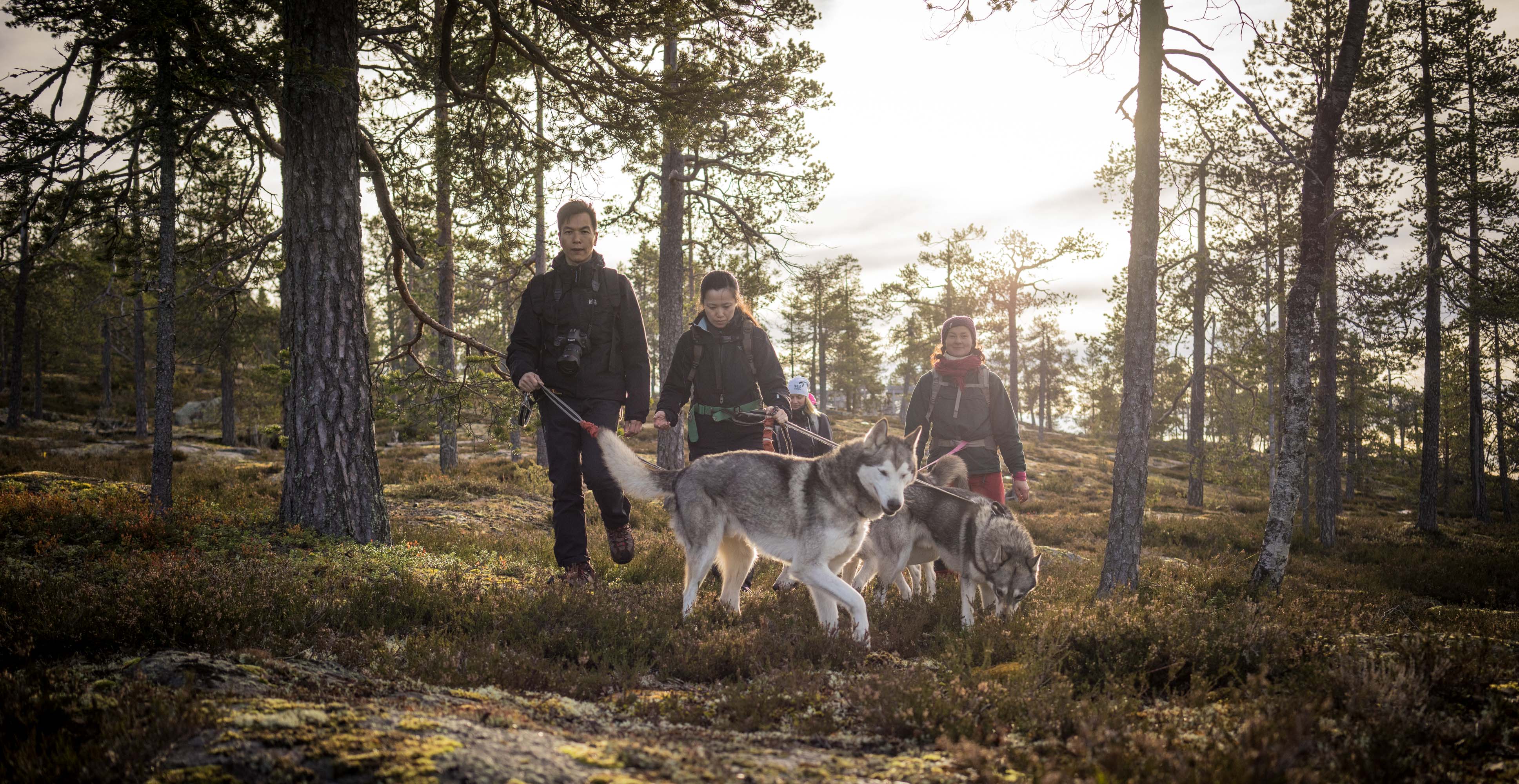 Relaxing Day of Yoga and Husky Therapy