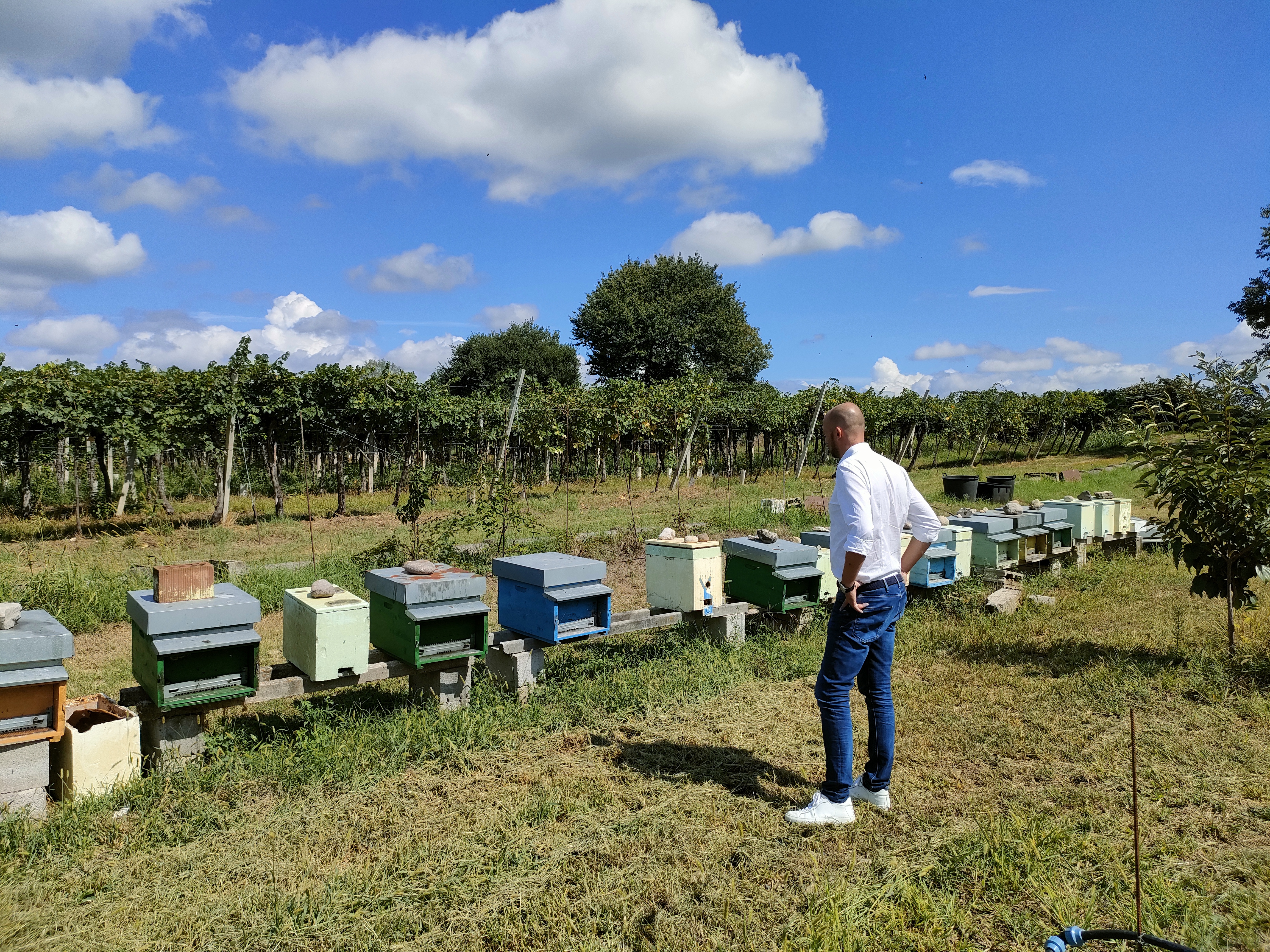 Beekeeping Farm Tour and Tasting Experience