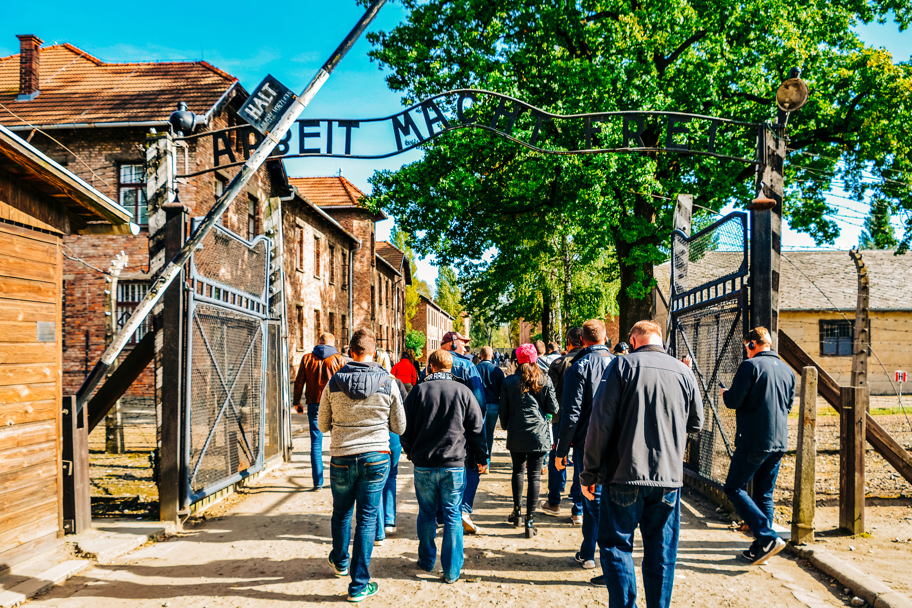 From Krakow: Auschwitz-Birkenau & Wieliczka Salt Mine Guided Tour with Hotel Pickup (ABSM)