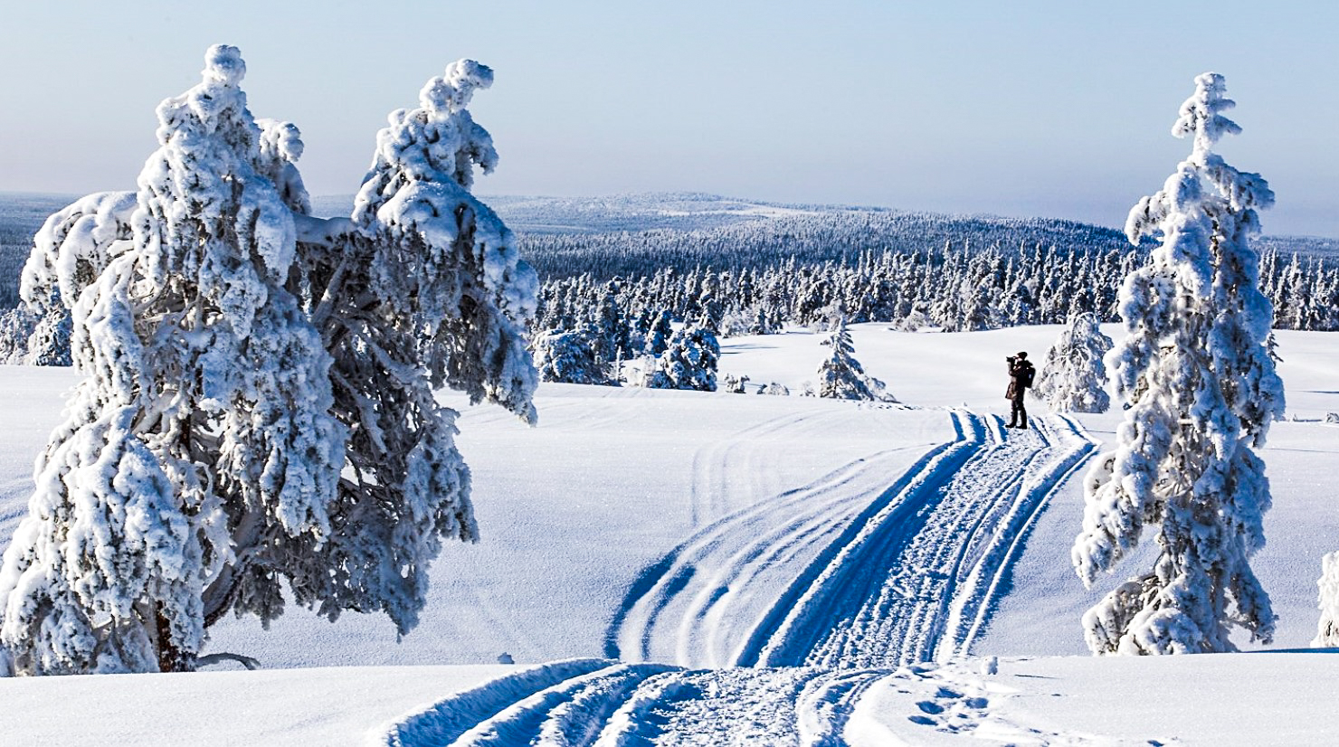 Snowshoe Trip for Searching Arctic Animals and Wilderness Views - Kemi