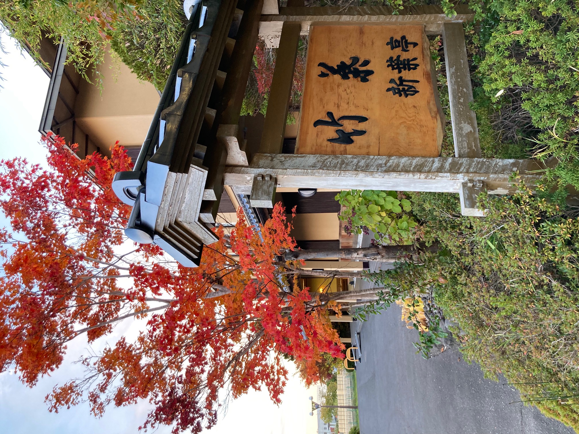 Chikuba Shinyotei Dinner and hot spring bathing for day-trip guests Enjoy hot spring bathing and a kaiseki meal (served in a private room),