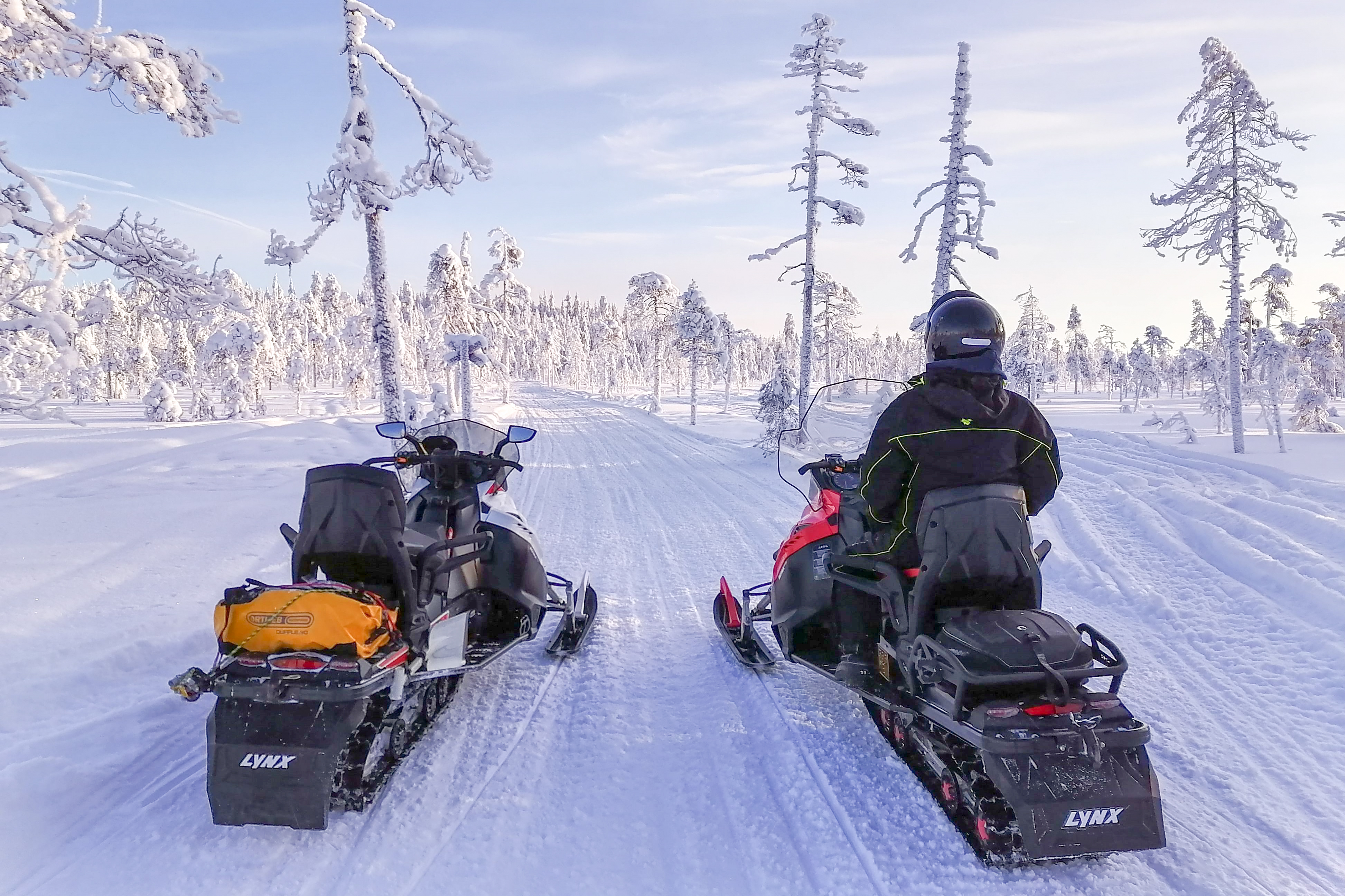 Very Small Group Snowmobile Tour (2 or 3 hours)