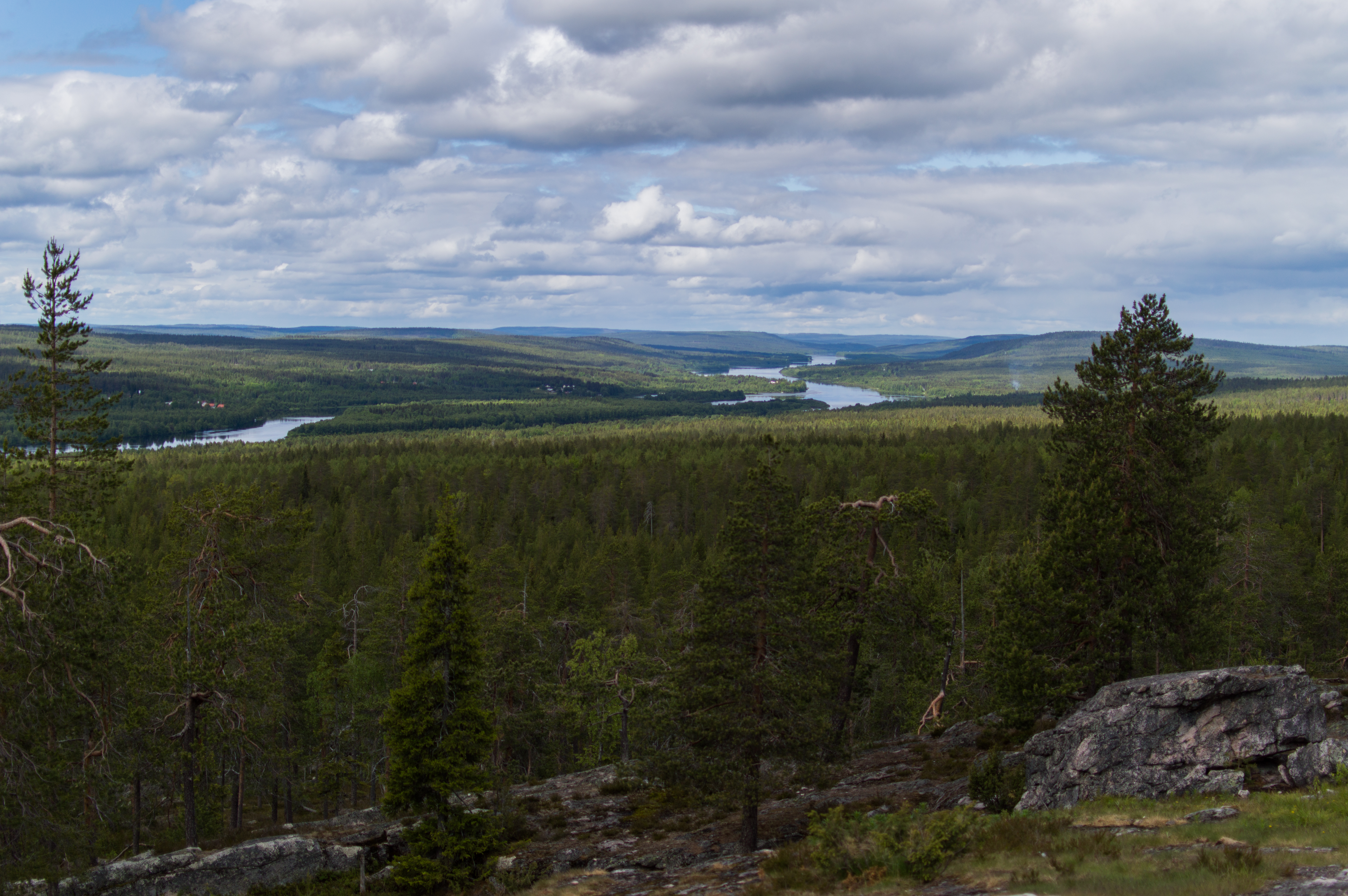 TREKKING IN LAPPISH NATURE, Rovaniemi