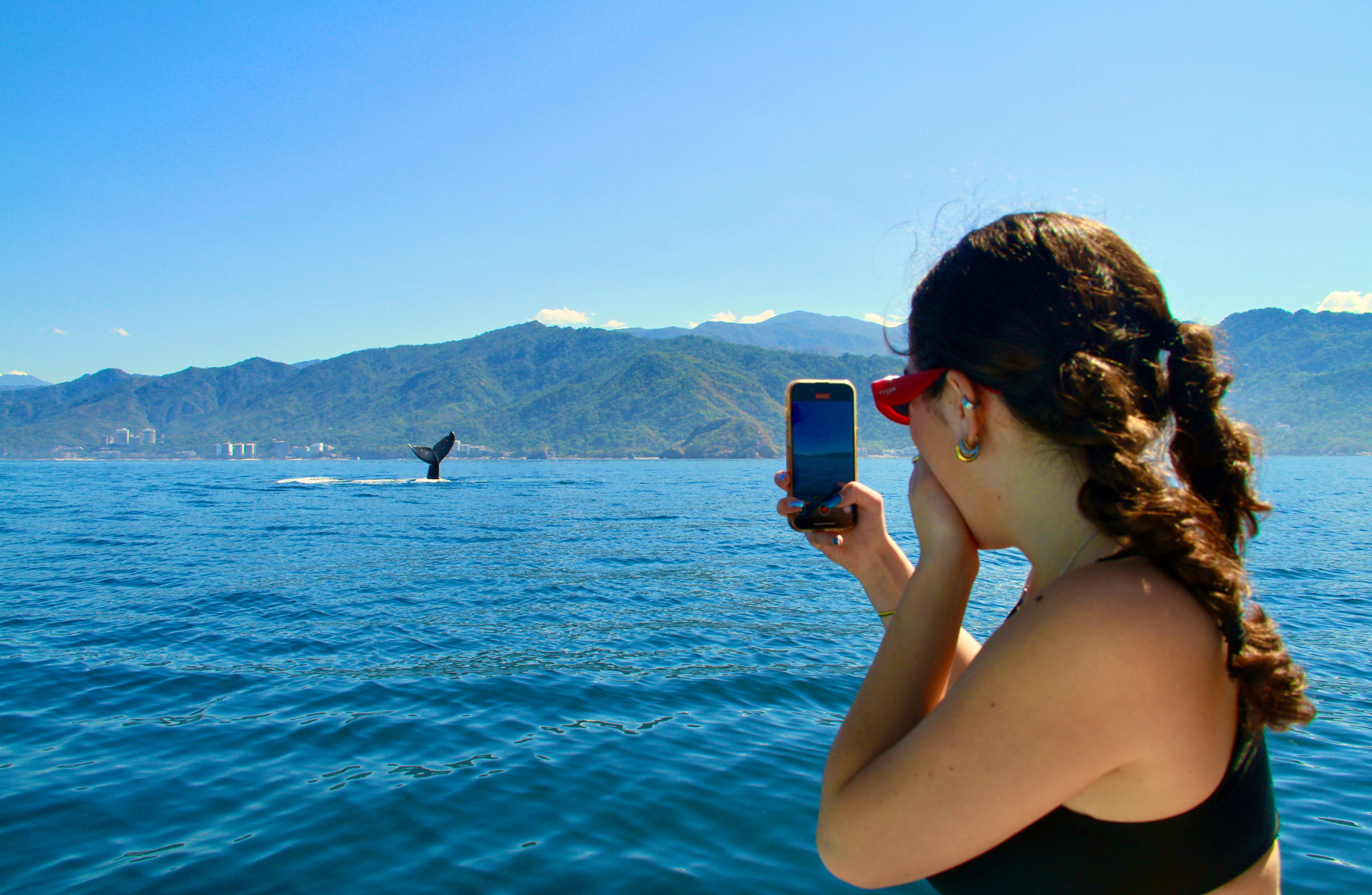 Whale Watching & Los Arcos Adventure