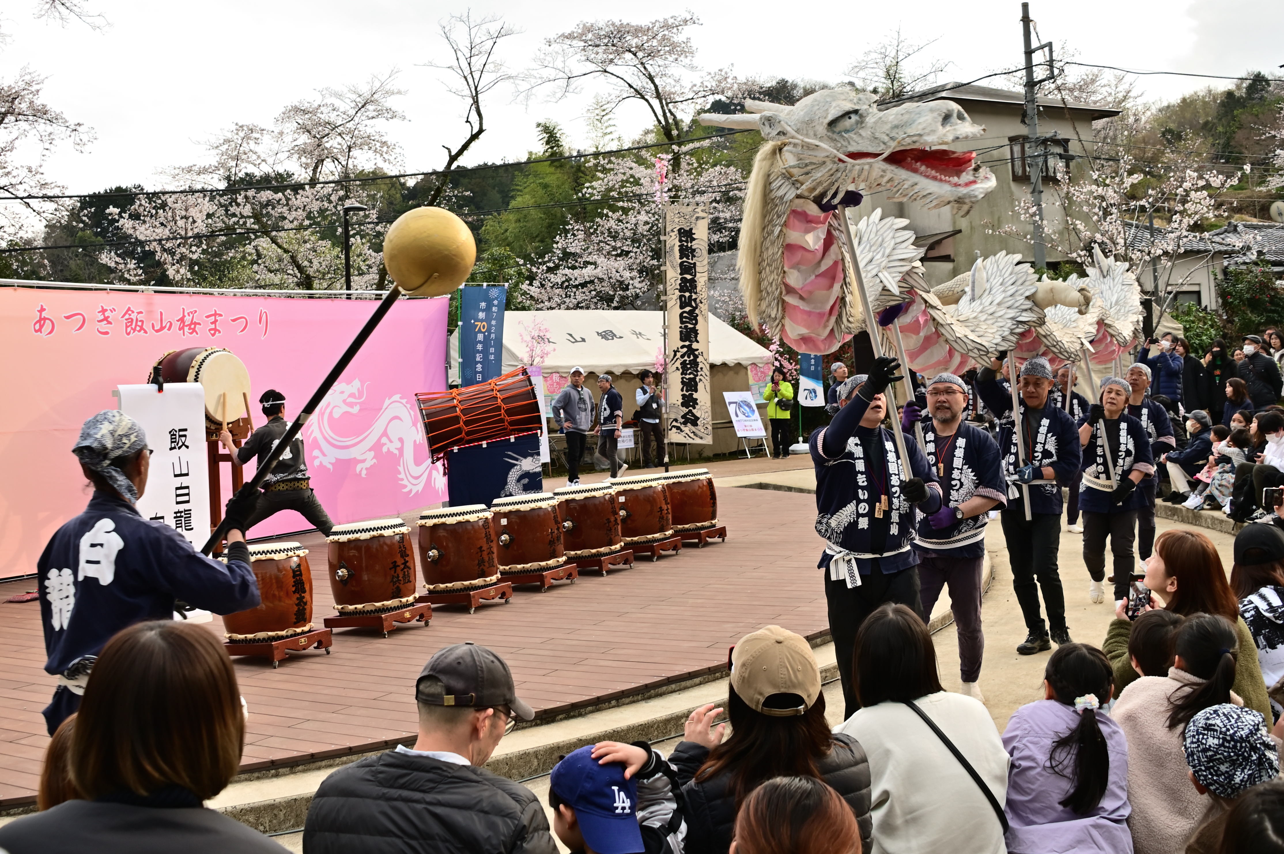 Atsugi and Isehara city spring bus tour #sakura #photo #shrine #temple #japantravel #sake