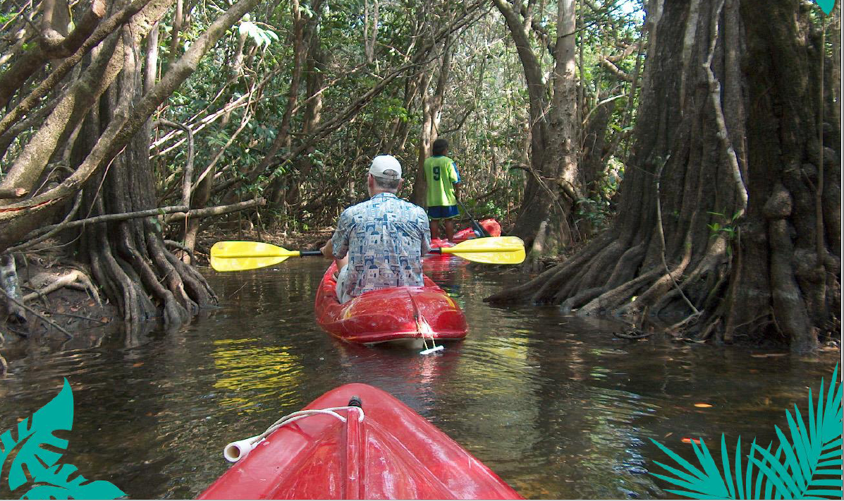 Jungle Kayak Expedition at Bacab Eco Park