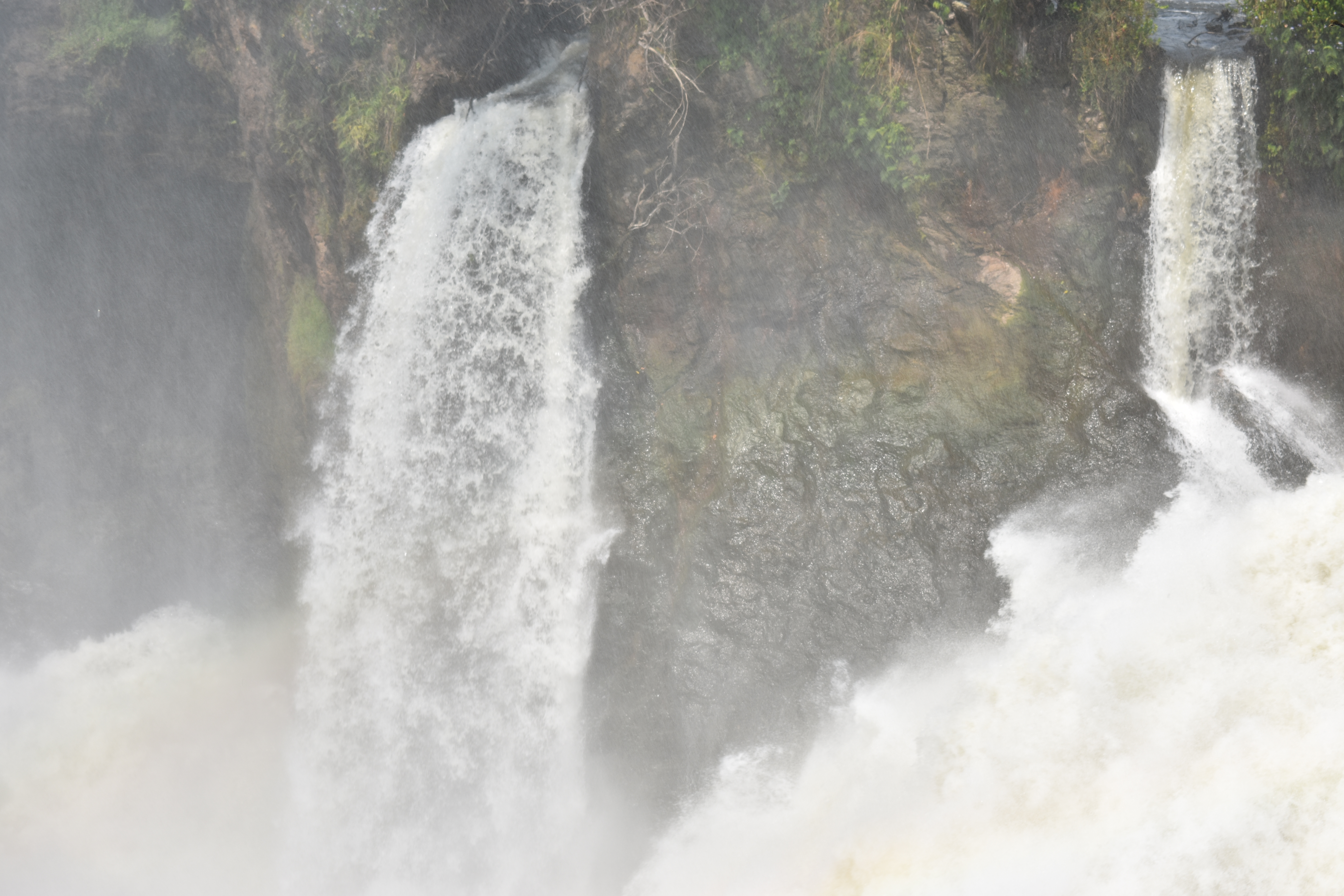 14-Day The Pearl of Africa Uganda Classic Wildlife Safari