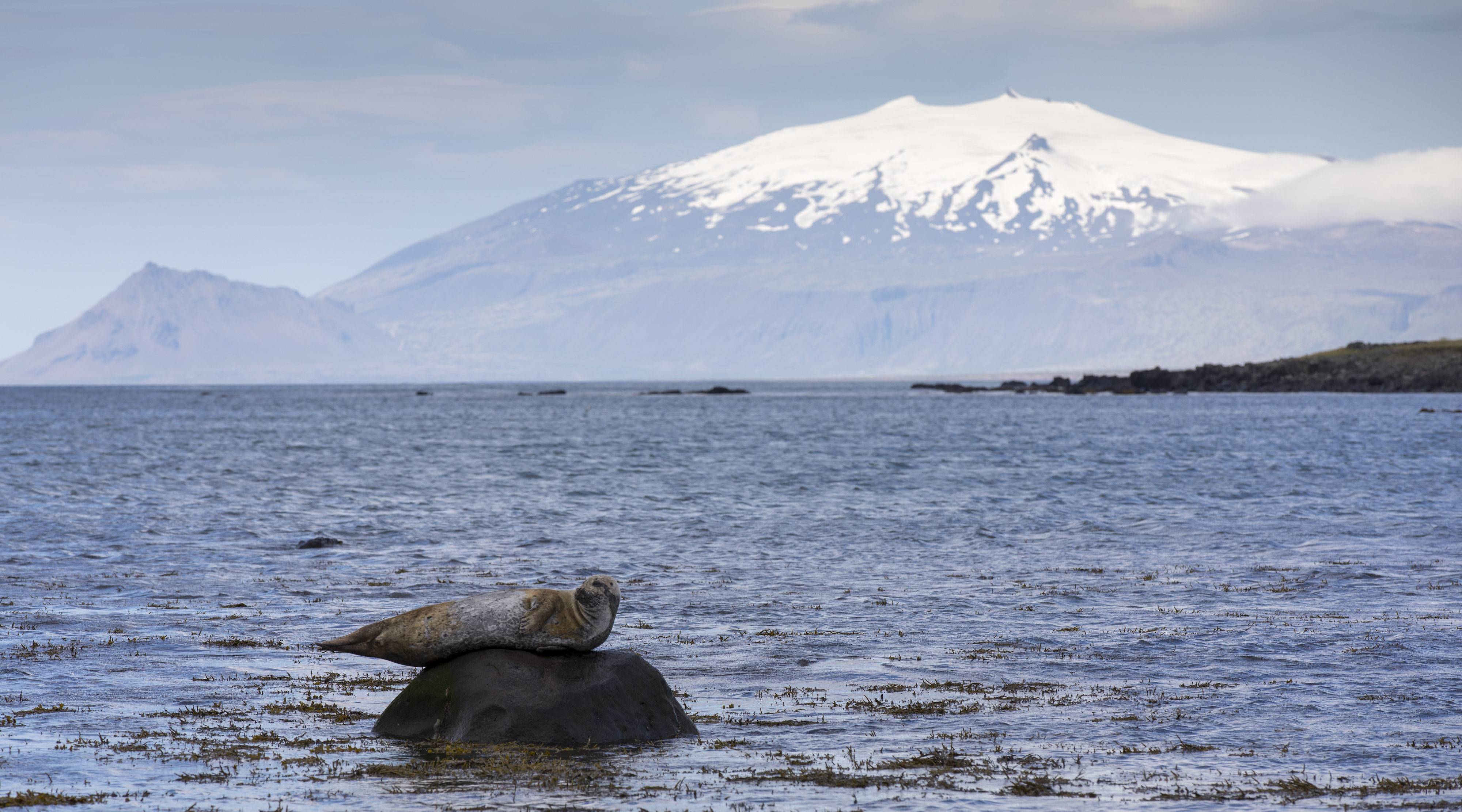 Private Snæfellsnes Peninsula tour from Reykjavik