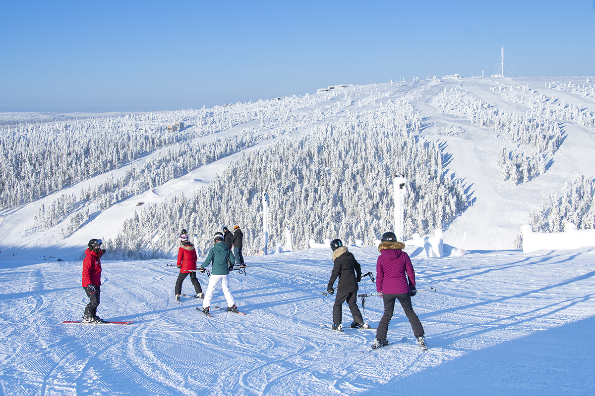 Beginner Alpine Ski Group Lesson (11y+)