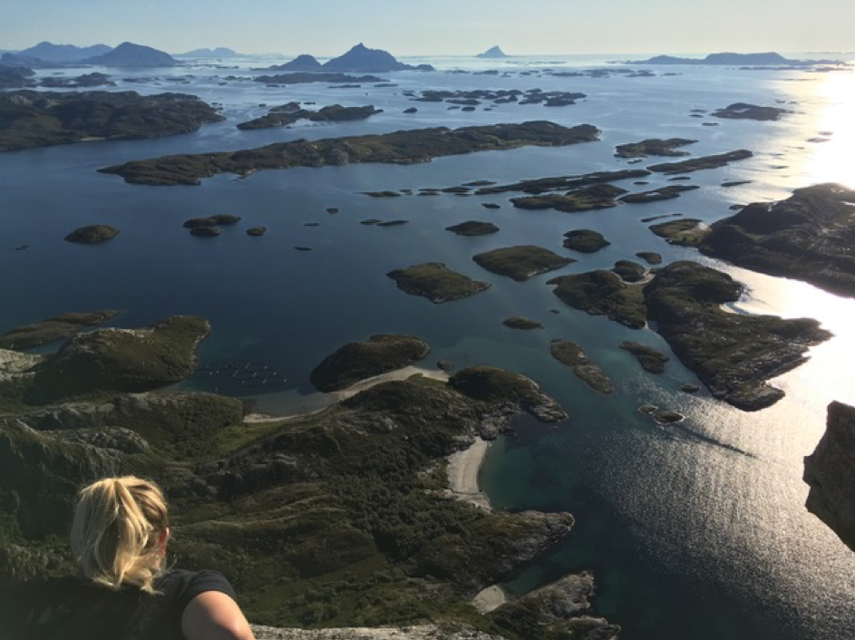 RIB tour and mountain hiking to the island Rødøya