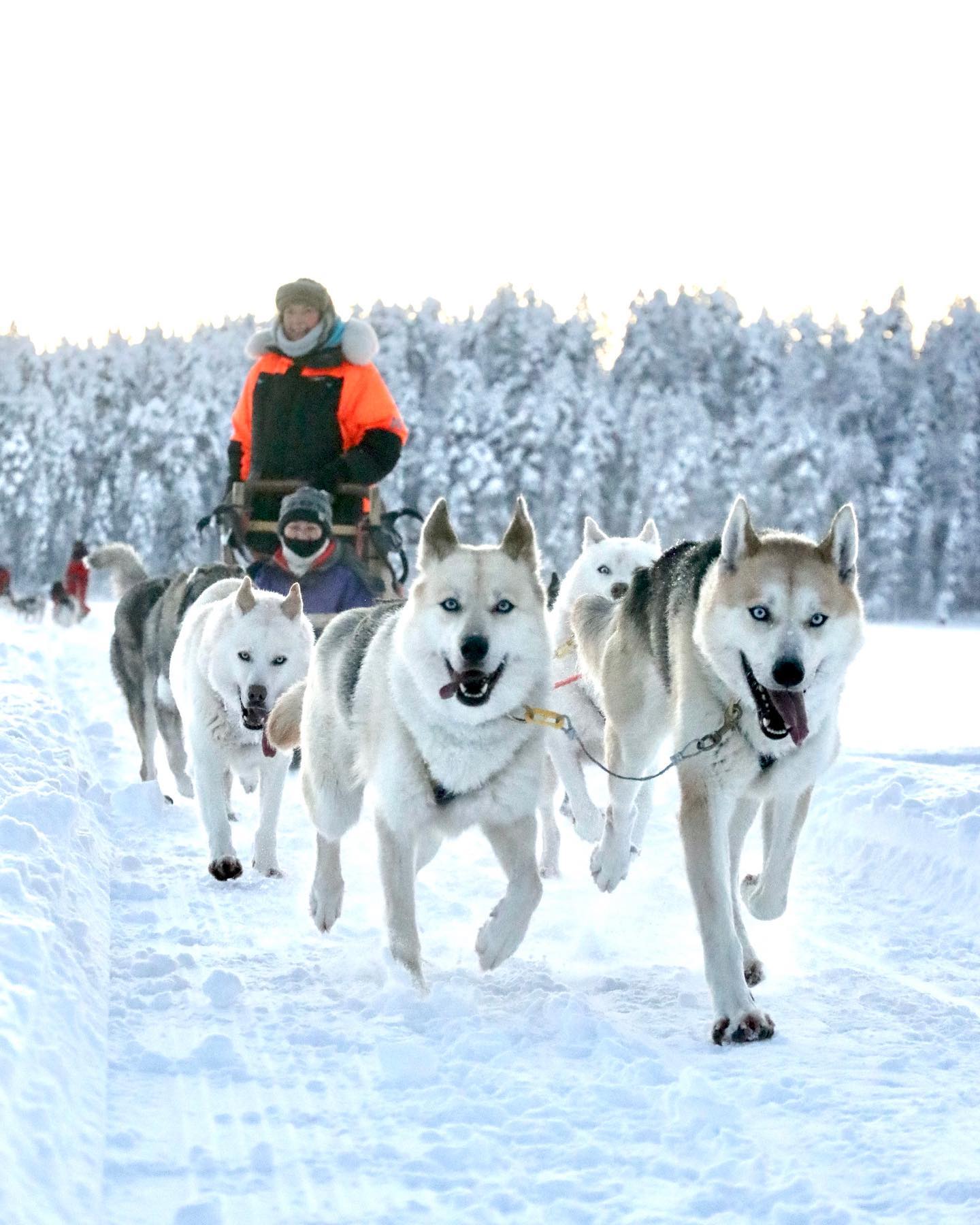 8 km double the fun, Christmas Season