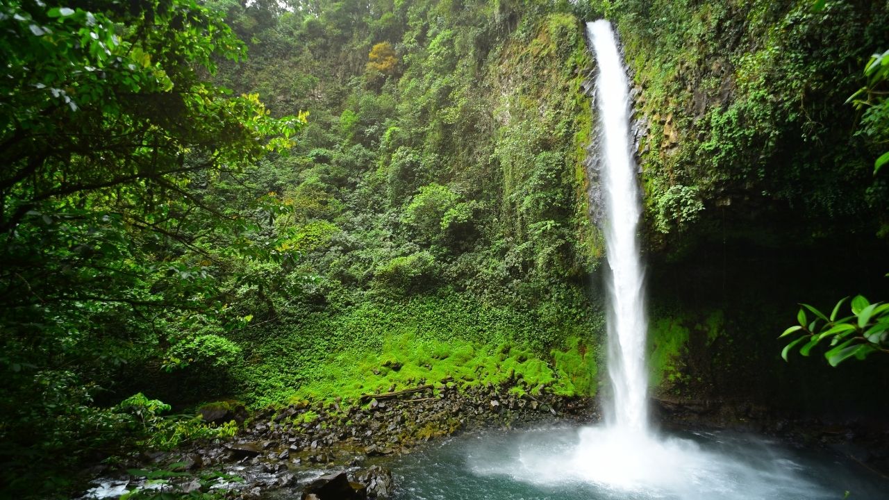 La Fortuna Waterfall Hike, Incl Lunch at La Finquita Organic Farm