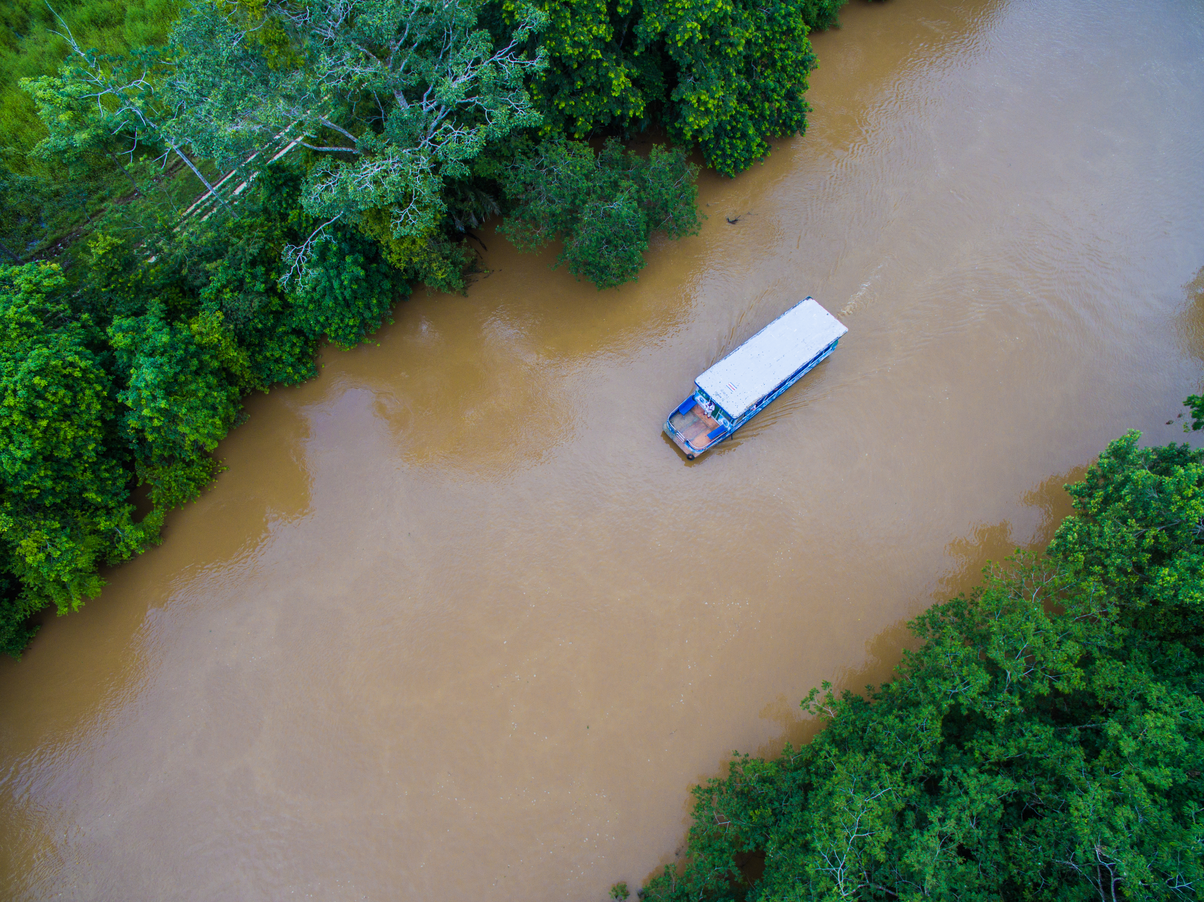 Caño Negro Boat Safari