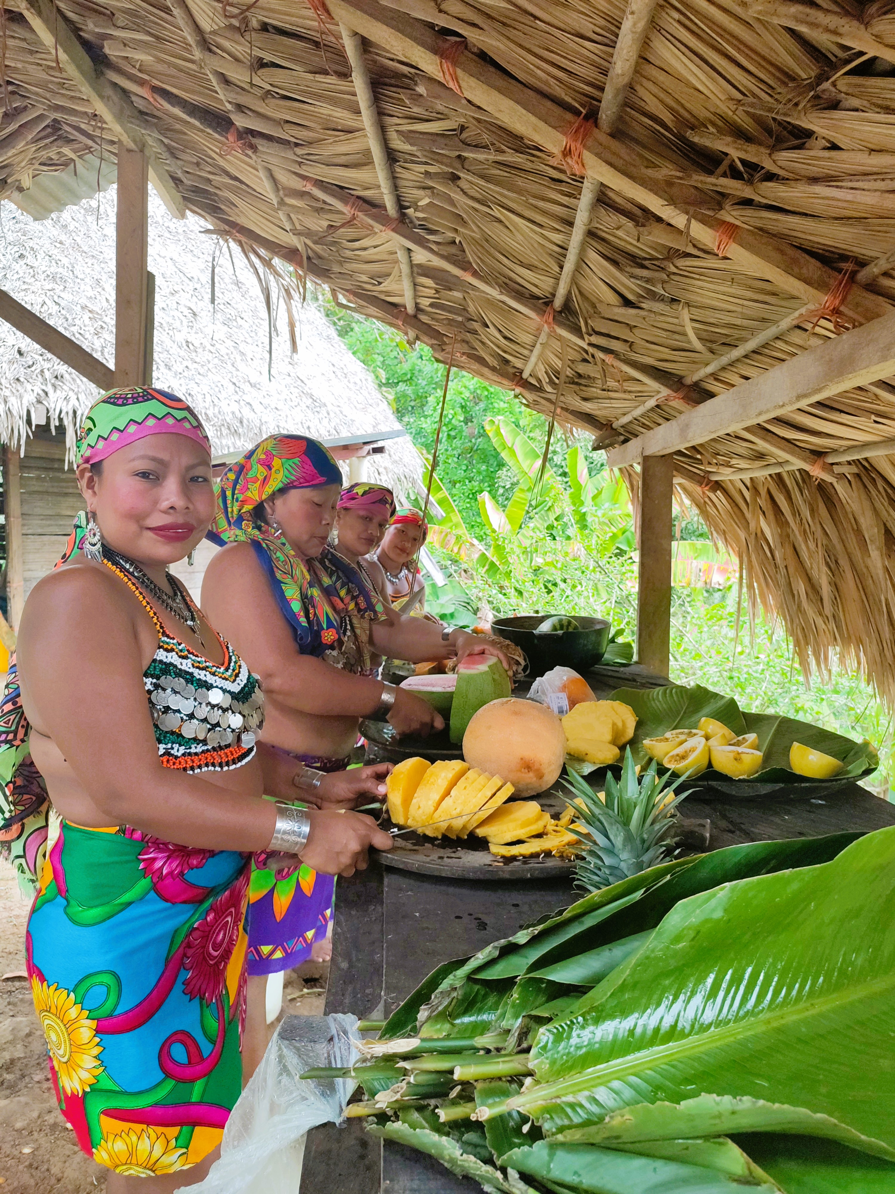 Embera Indigenous Villages Tour (Chagres National Park)