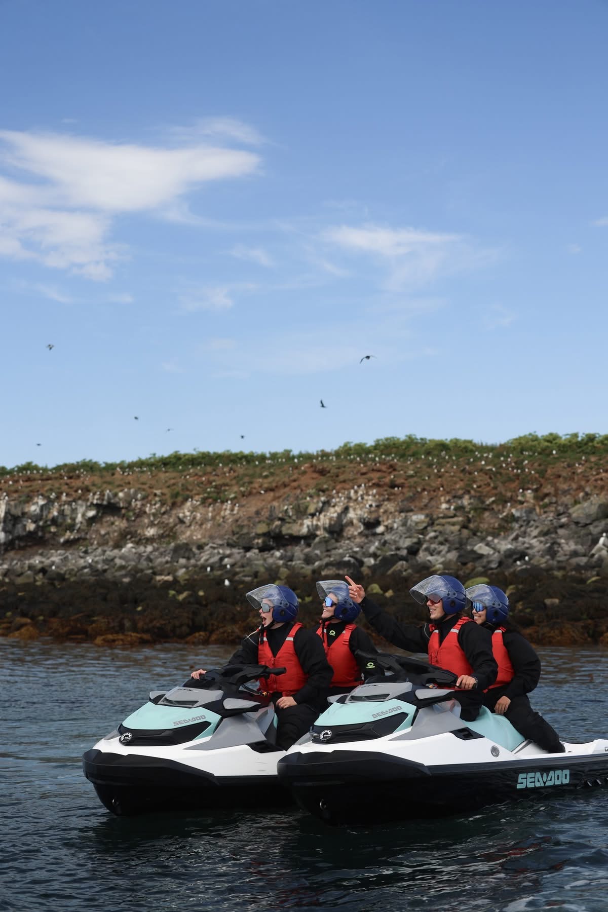 Puffin Jet ski tour