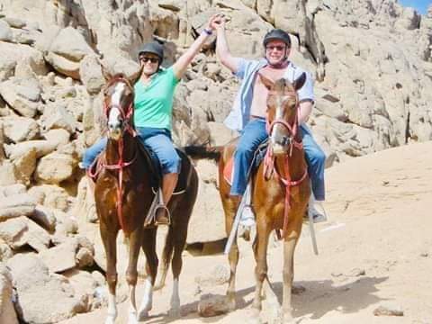 Horse Ride in Sharm EL Sheikh Desert one Hour Trip