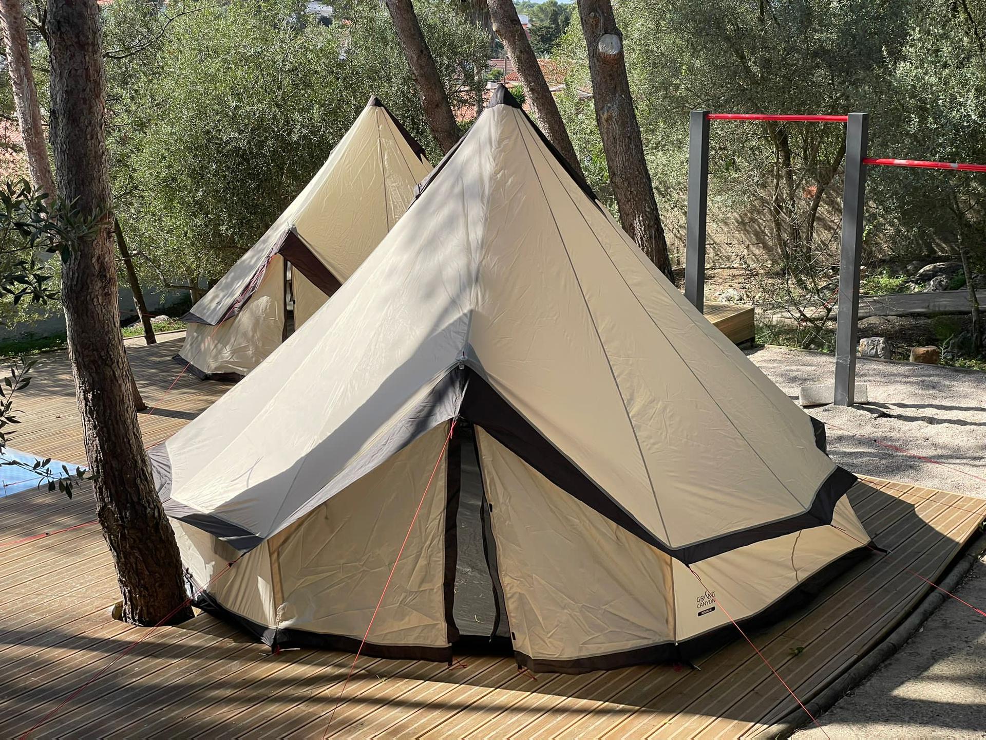 Kids into the Woods (Cascais Routes Basecamp)