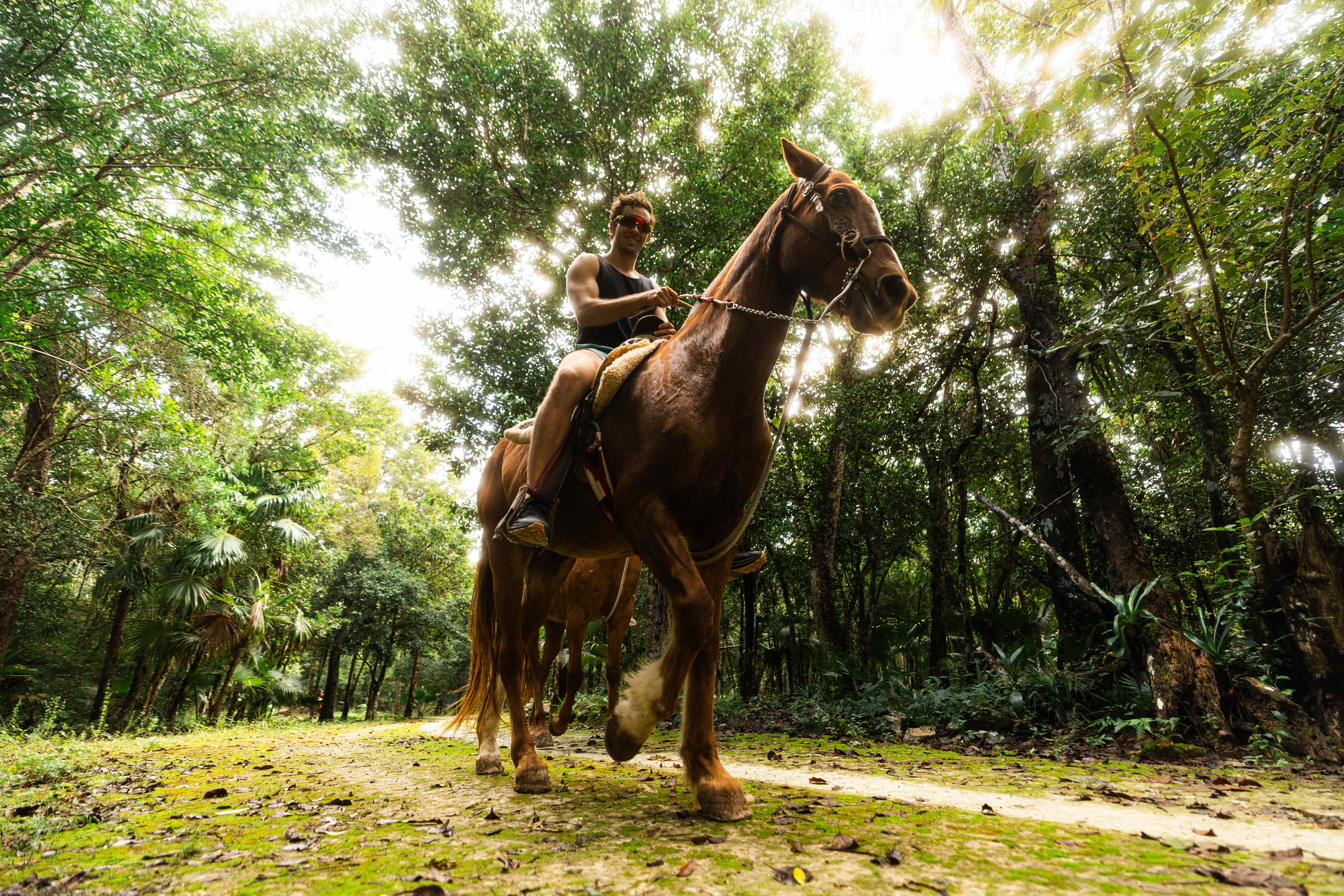 Extreme Horses Adventure with Shared ATV, Ziplines & Cenote