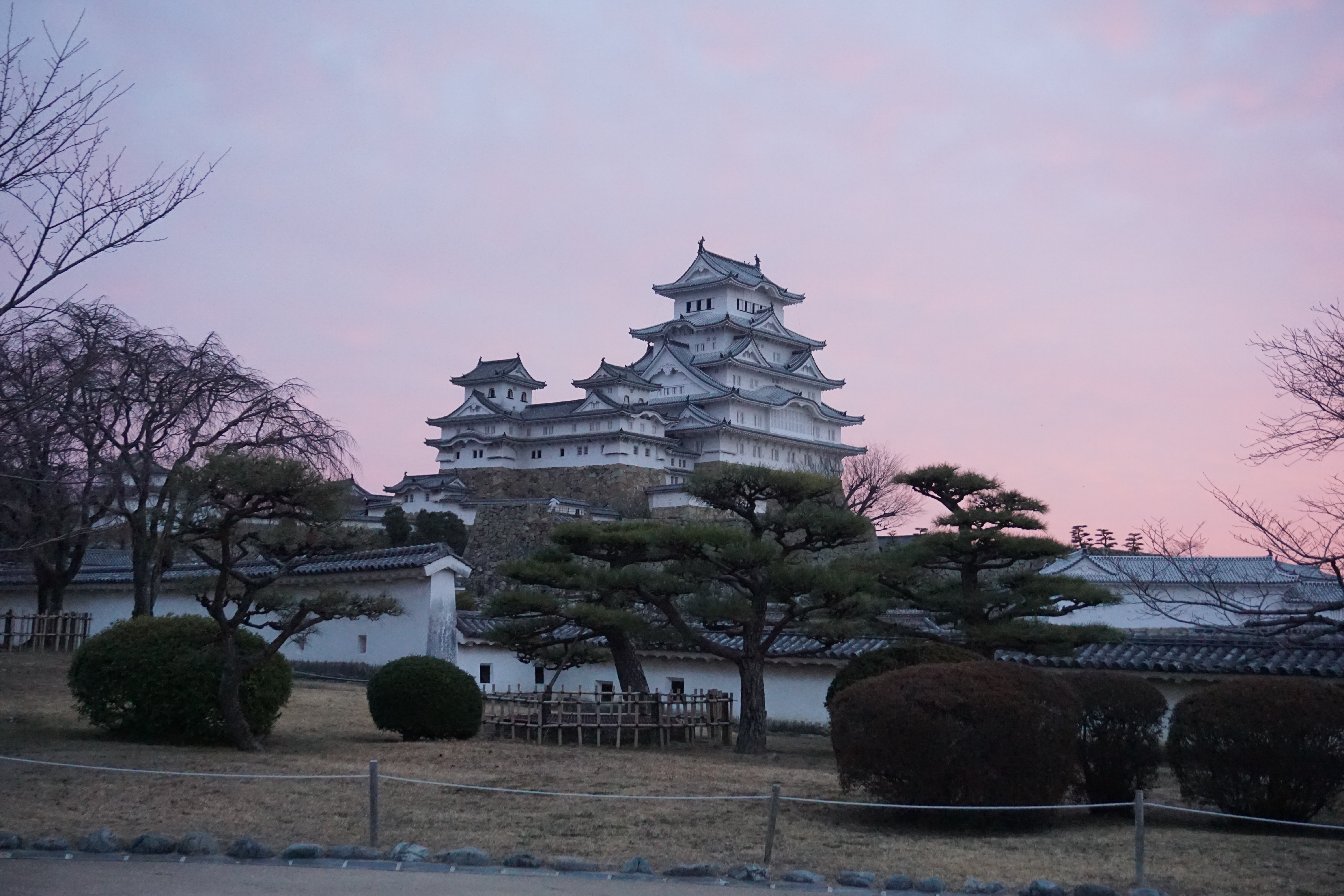 特別体験　早朝の姫路城でヨガ～朝日を浴びて～