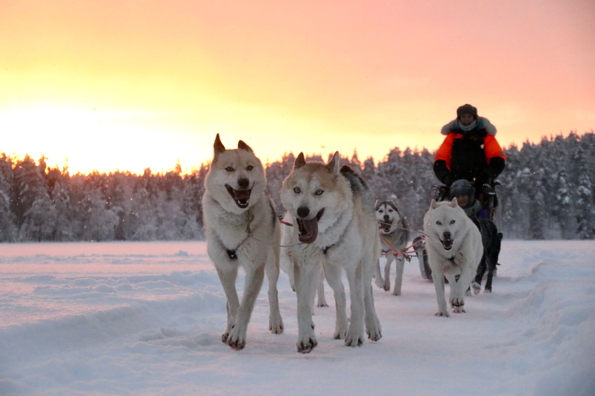 6 km afternoon run, 12th January-10th April