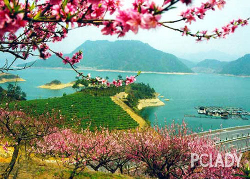 1-day Thousand Island Lake Guided Spring Cycling Tour from Hangzhou