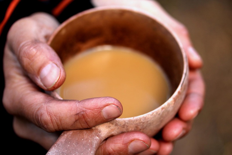 Unforgettable Sealsafari in spring