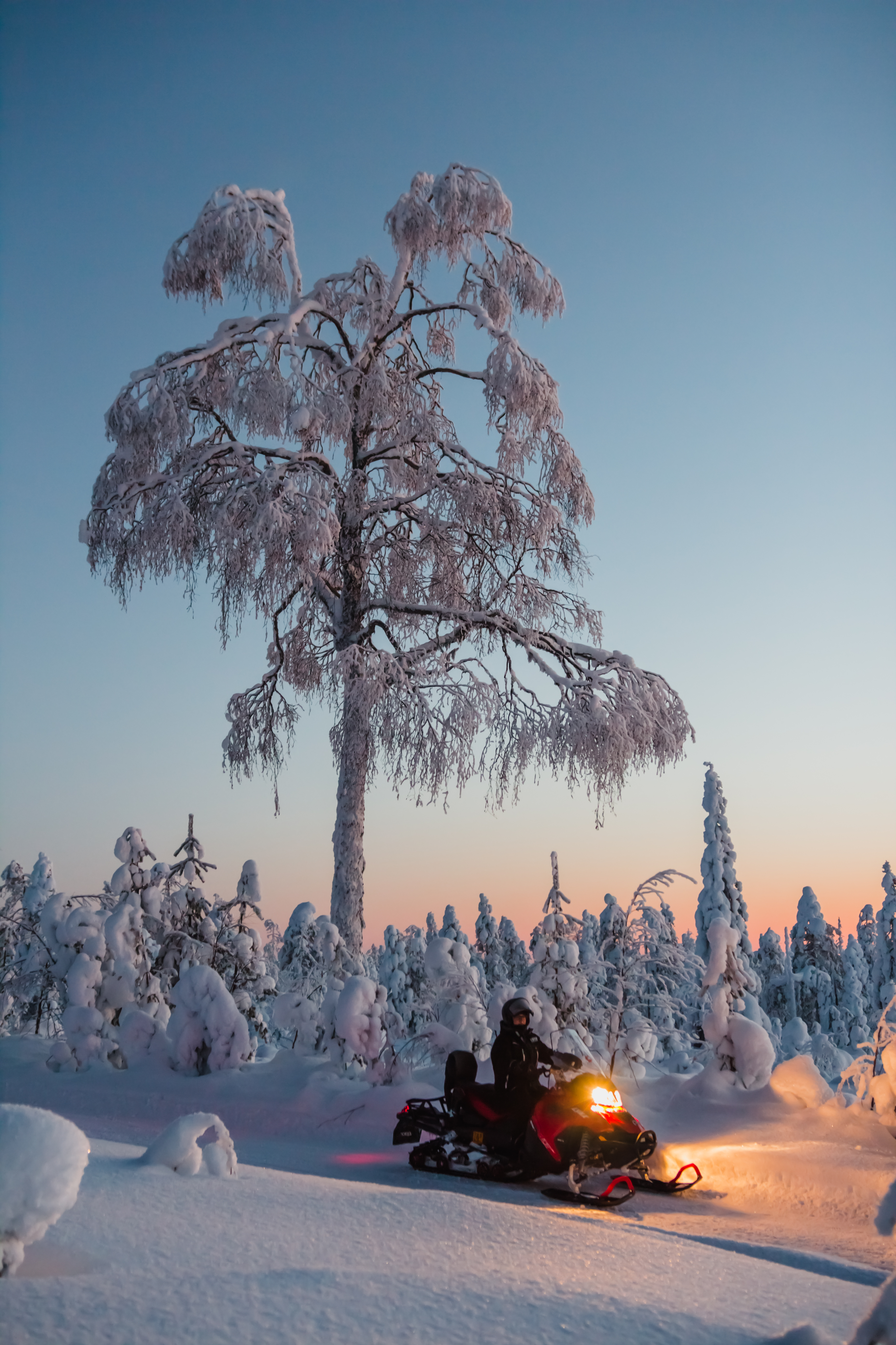 Evening snowmobile safari in Levi