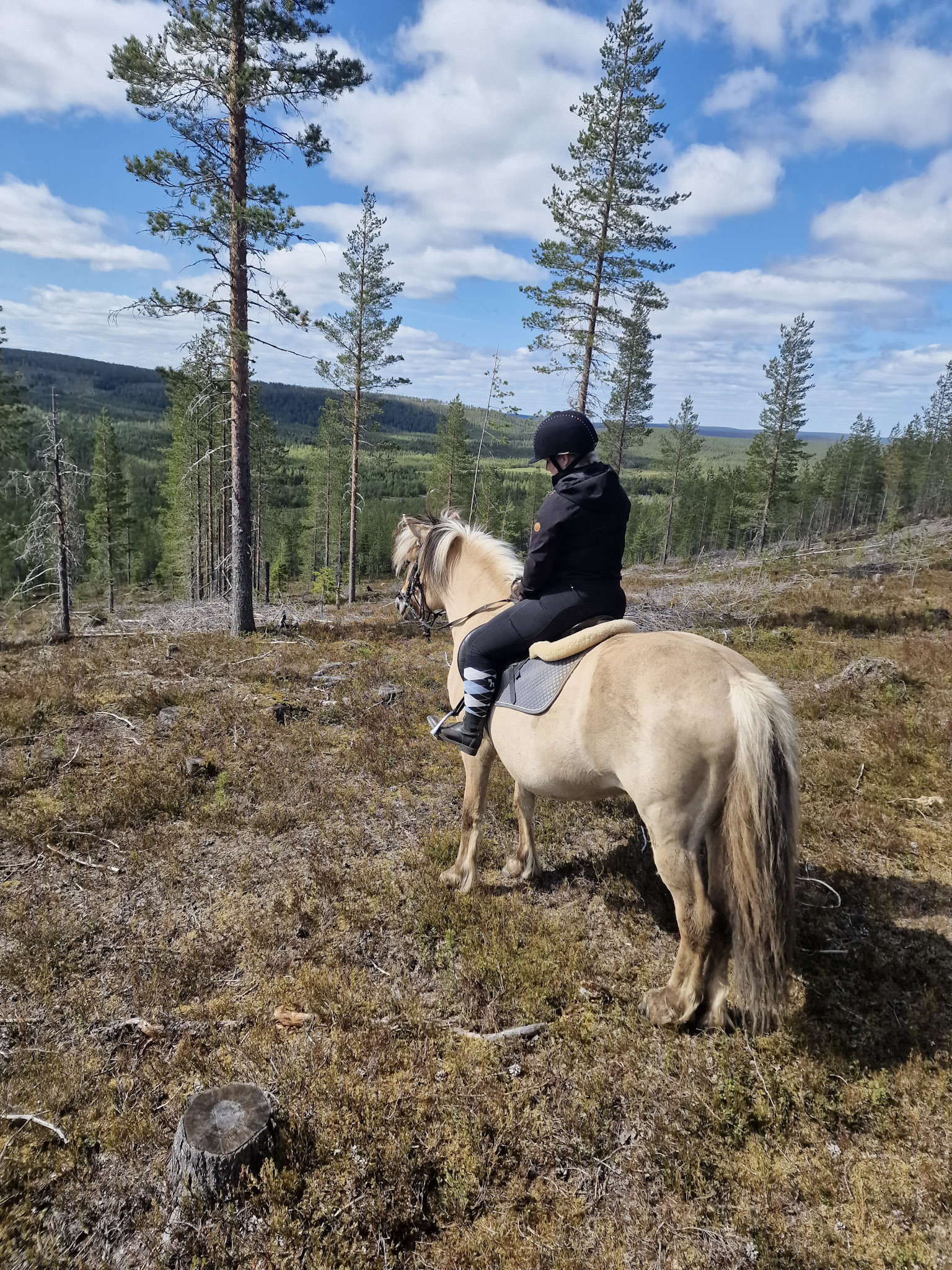 Horse ride to the hill