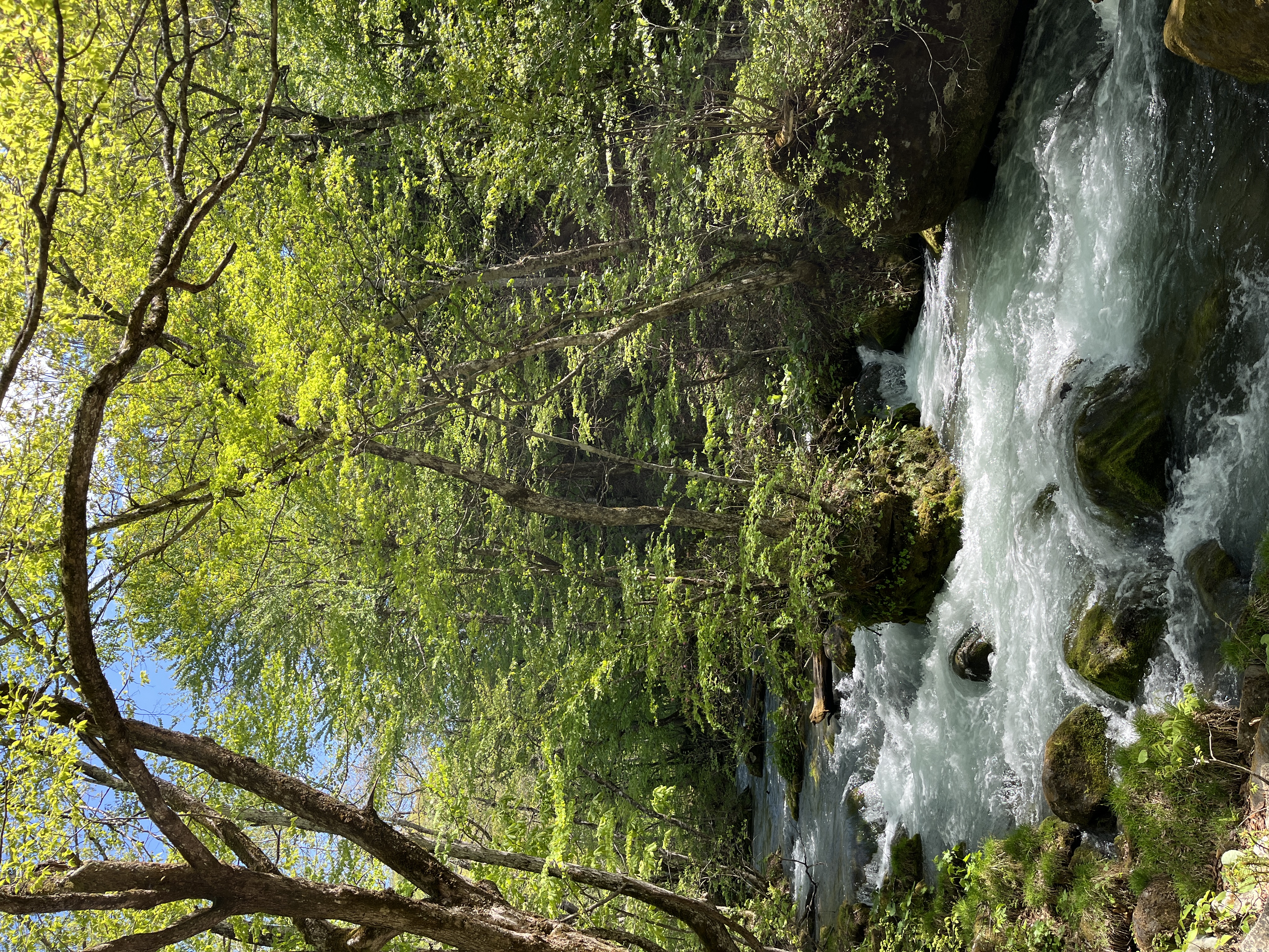 【英語ガイド】奥入瀬渓流散策ツアー 　～ミニハイキングコース～