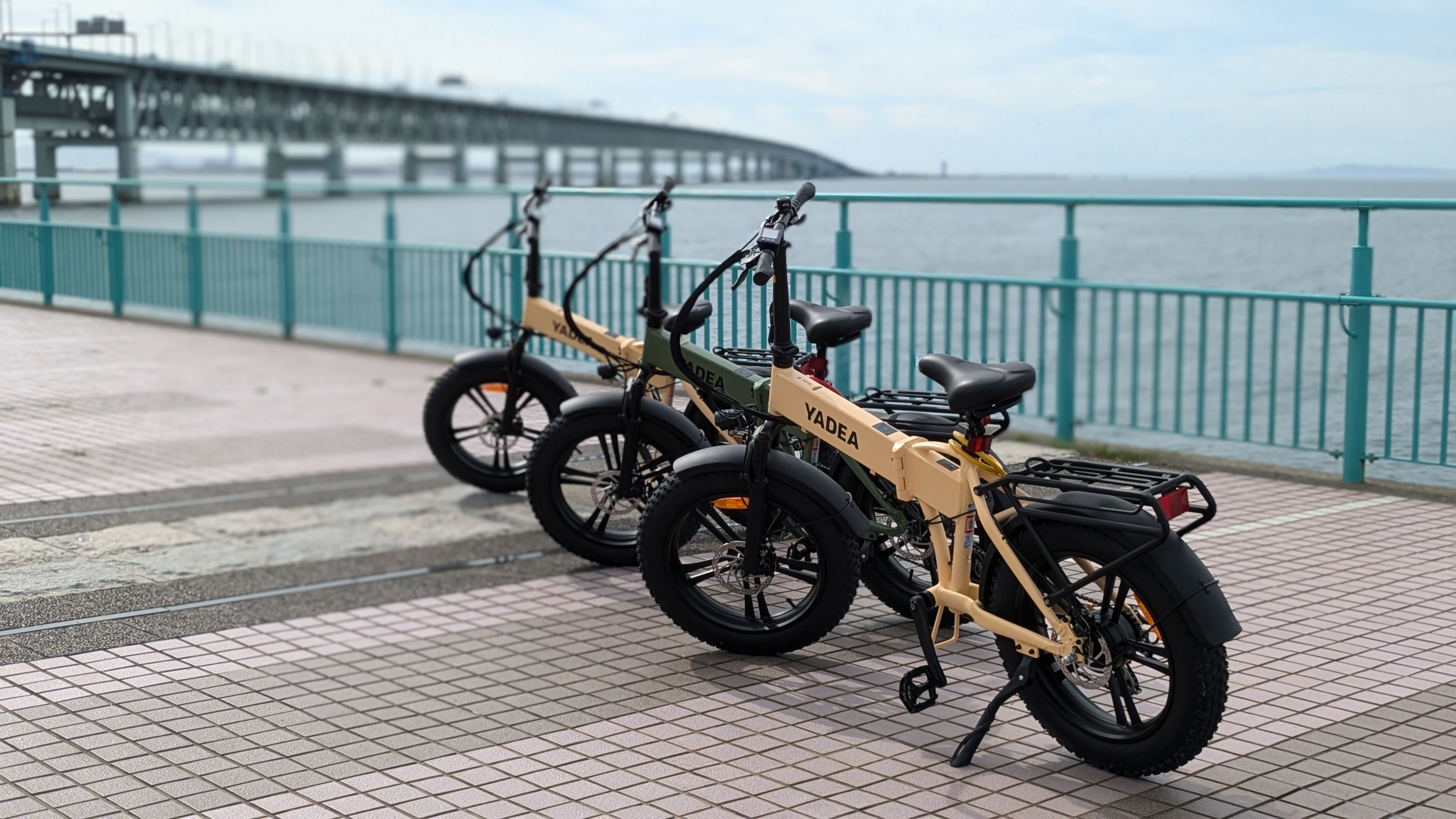 We offer electric-assist bicycle rentals for exploring the city comfortably.
