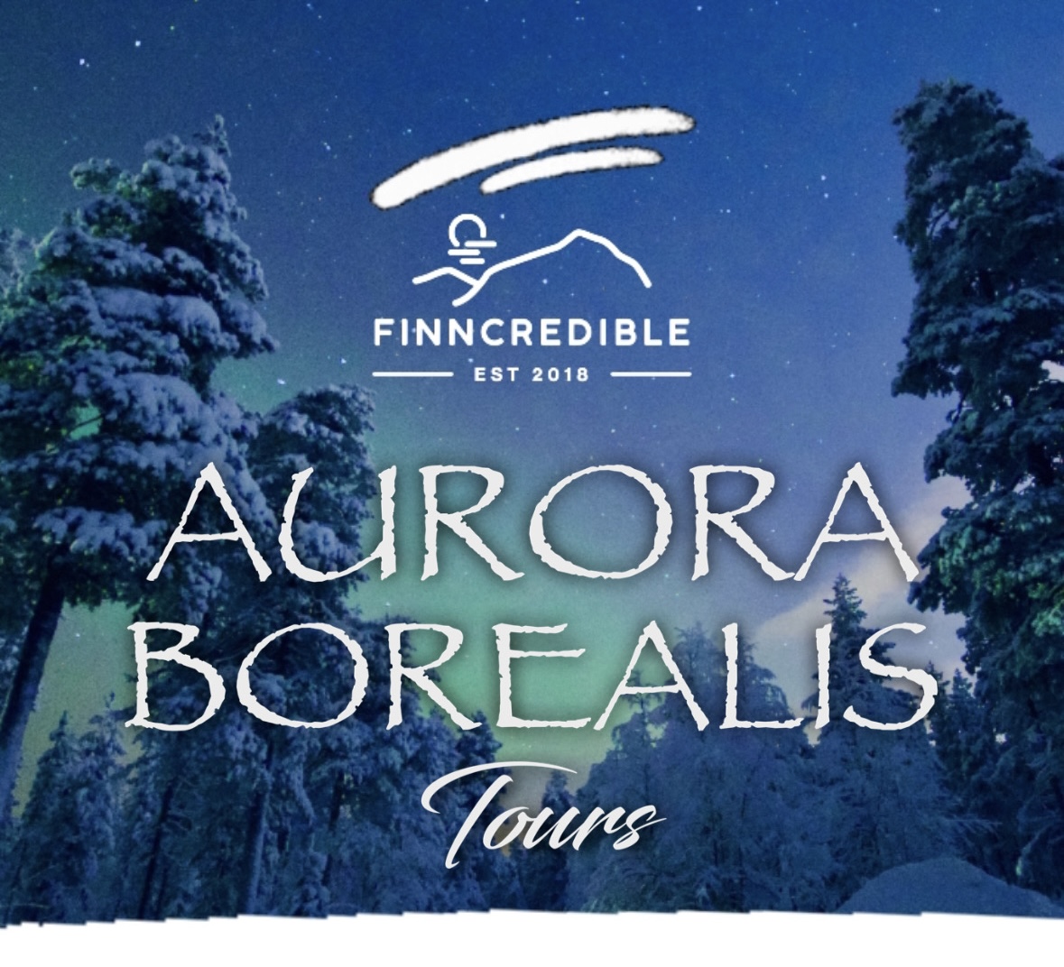 Private experience: Aurora Borealis Tour