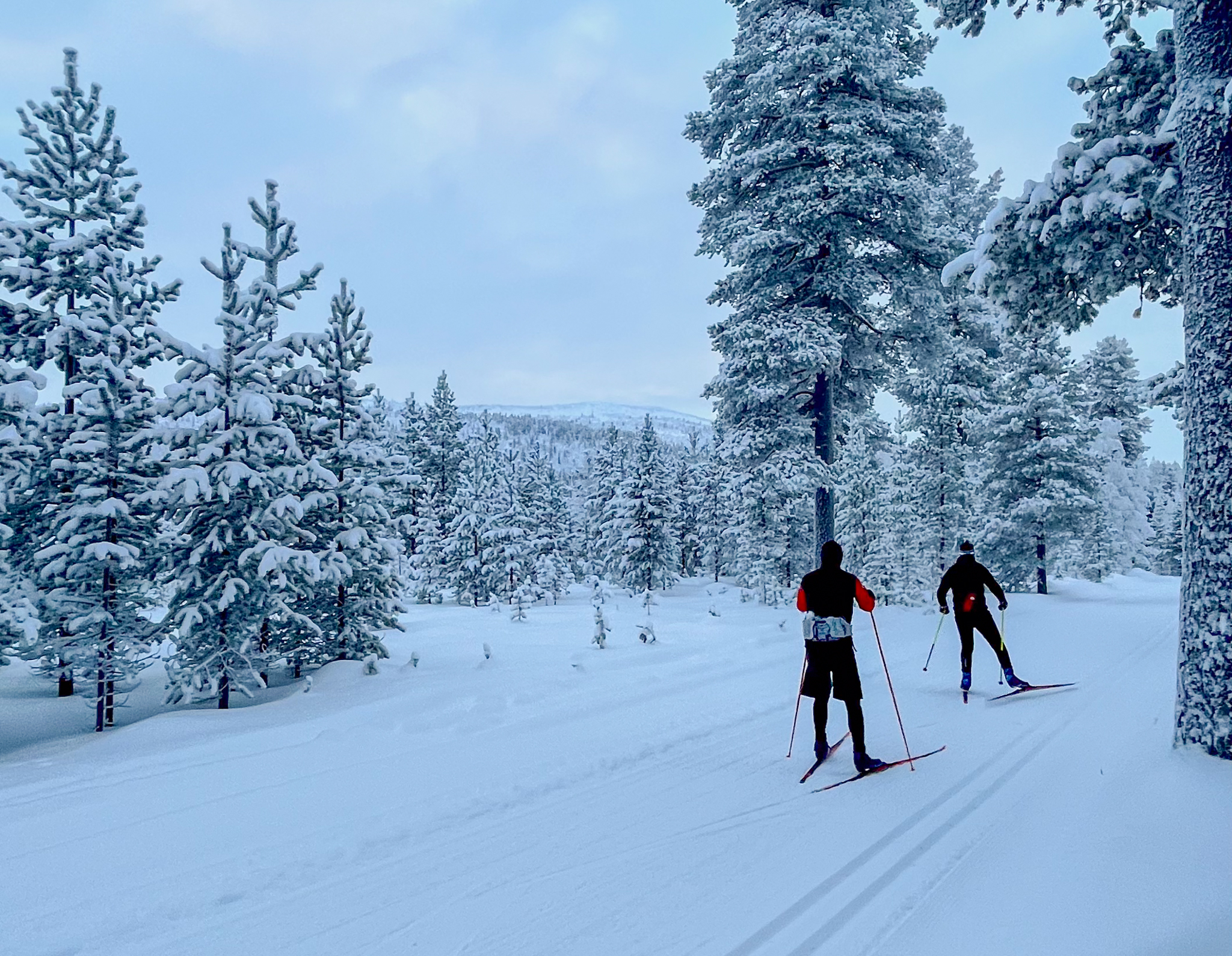 Cross-Country Skiing for Beginners in Levi