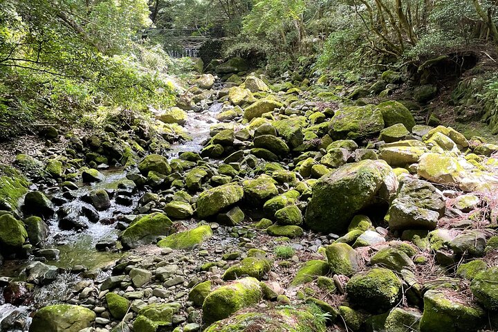 ★Mt. Inunaki Trekking and Waterfall Training in Izumisano Osaka