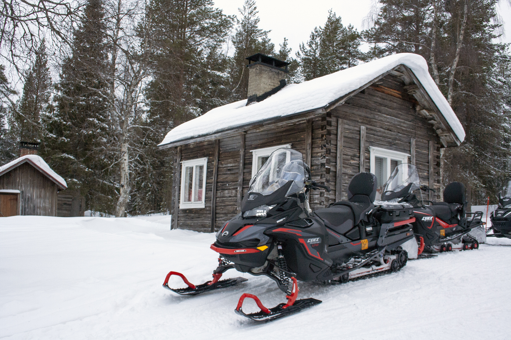 A fast and easy snowmobile safari