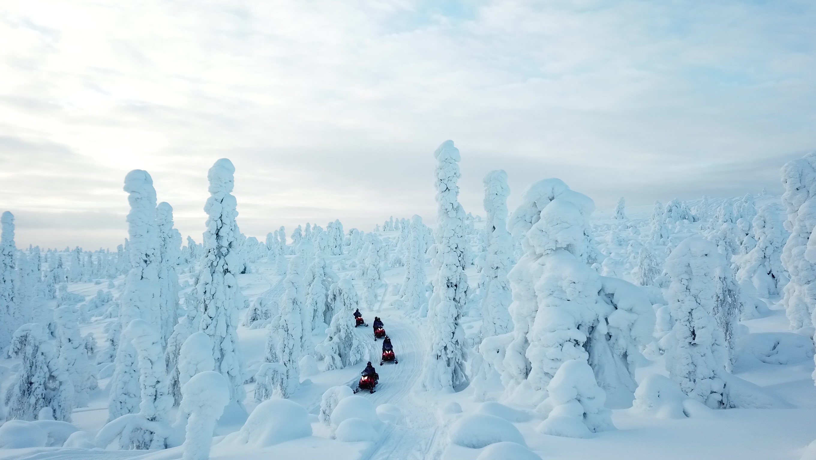 Escape to Wilderness - Full Day Snowmobile Safari in Ylläs