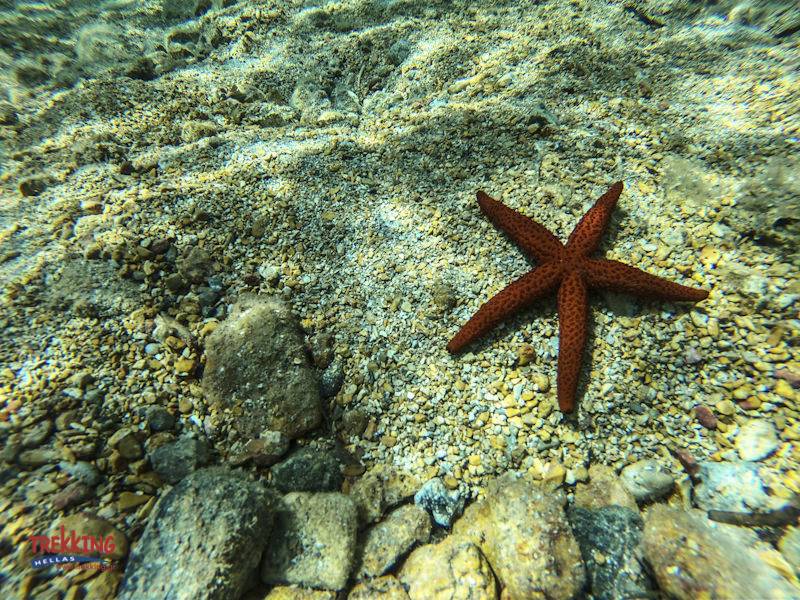 2 Days Sea Kayak Diaporos Islands, Halkidiki