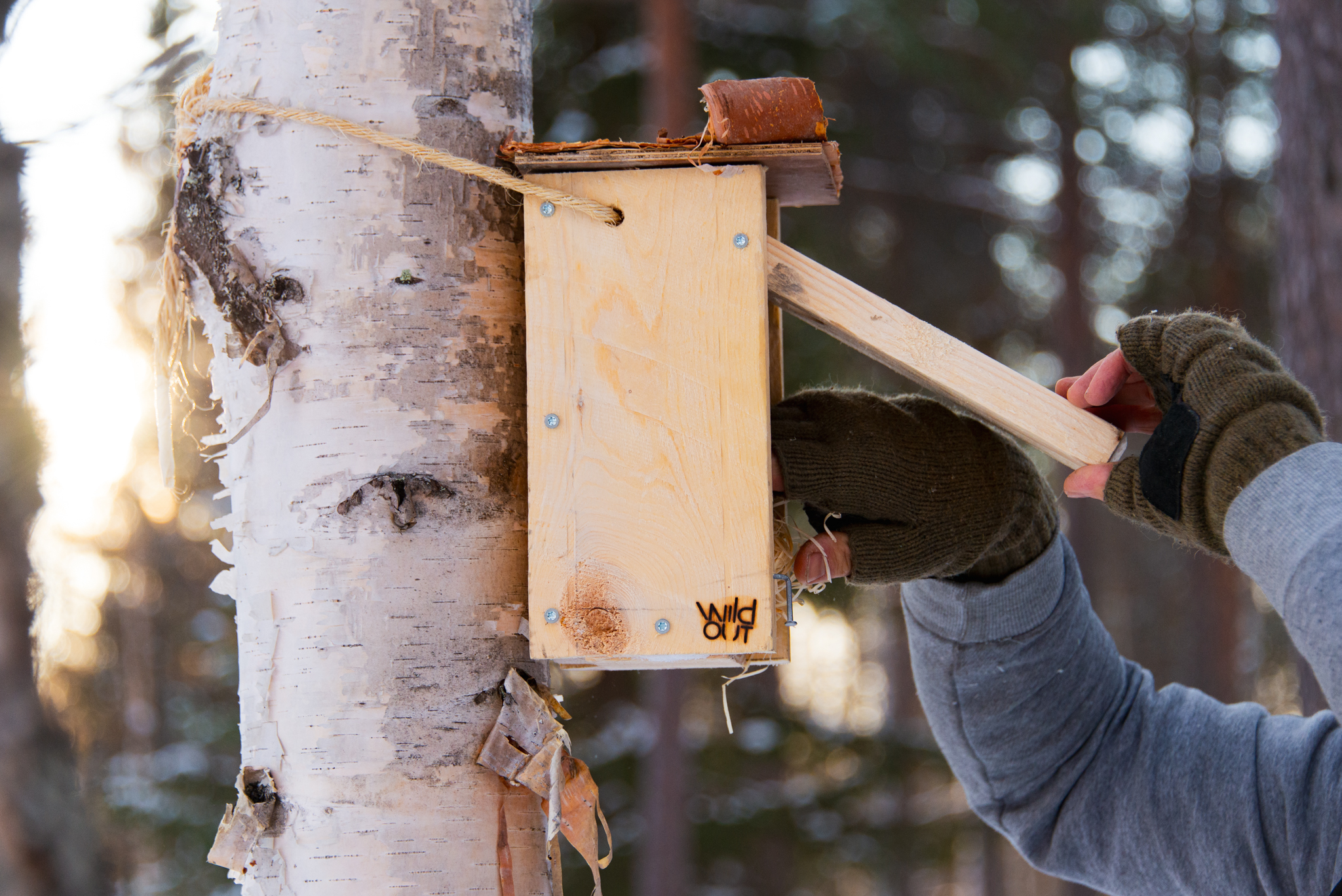 Ski Trip in Kuusamo to Help Birds & Wilderness Lunch