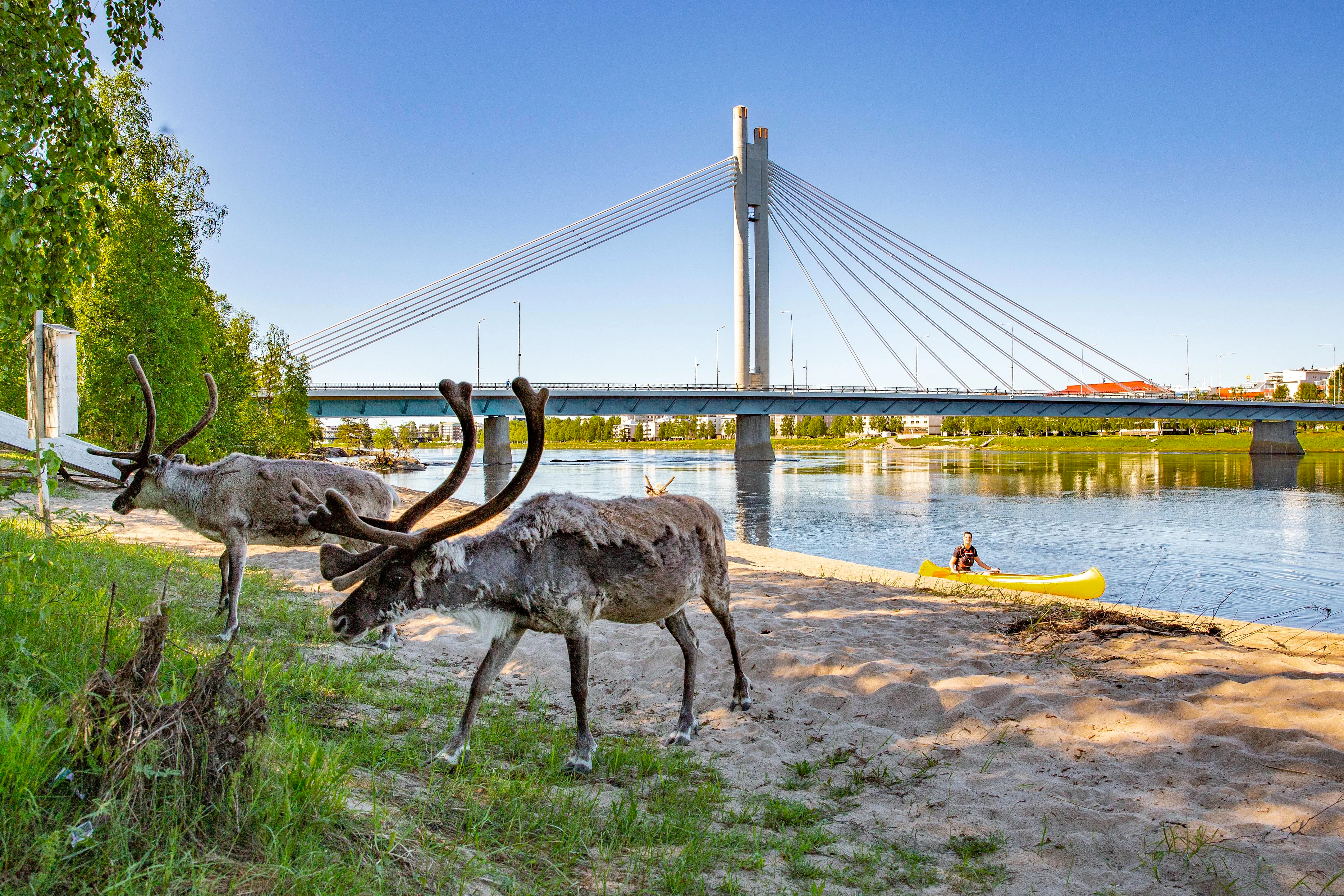 Cultural Canoe Trip around Rovaniemi