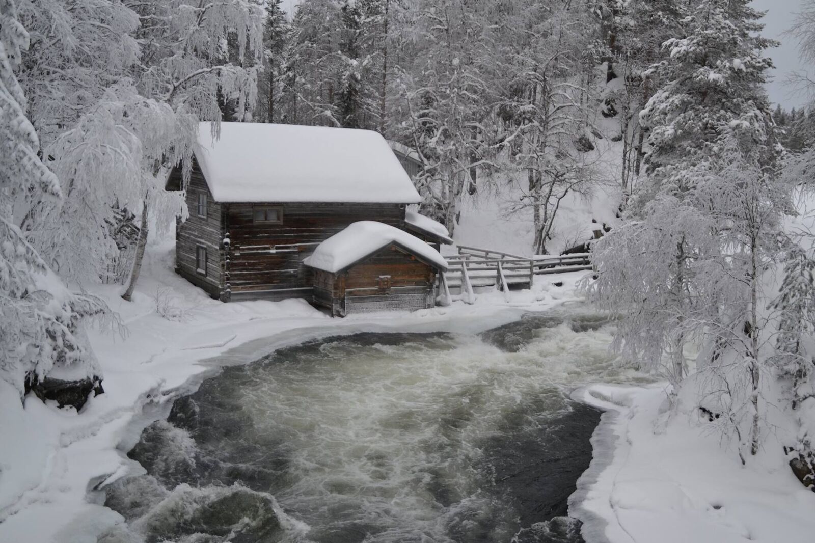 Snowshoeing to Oulanka National Park