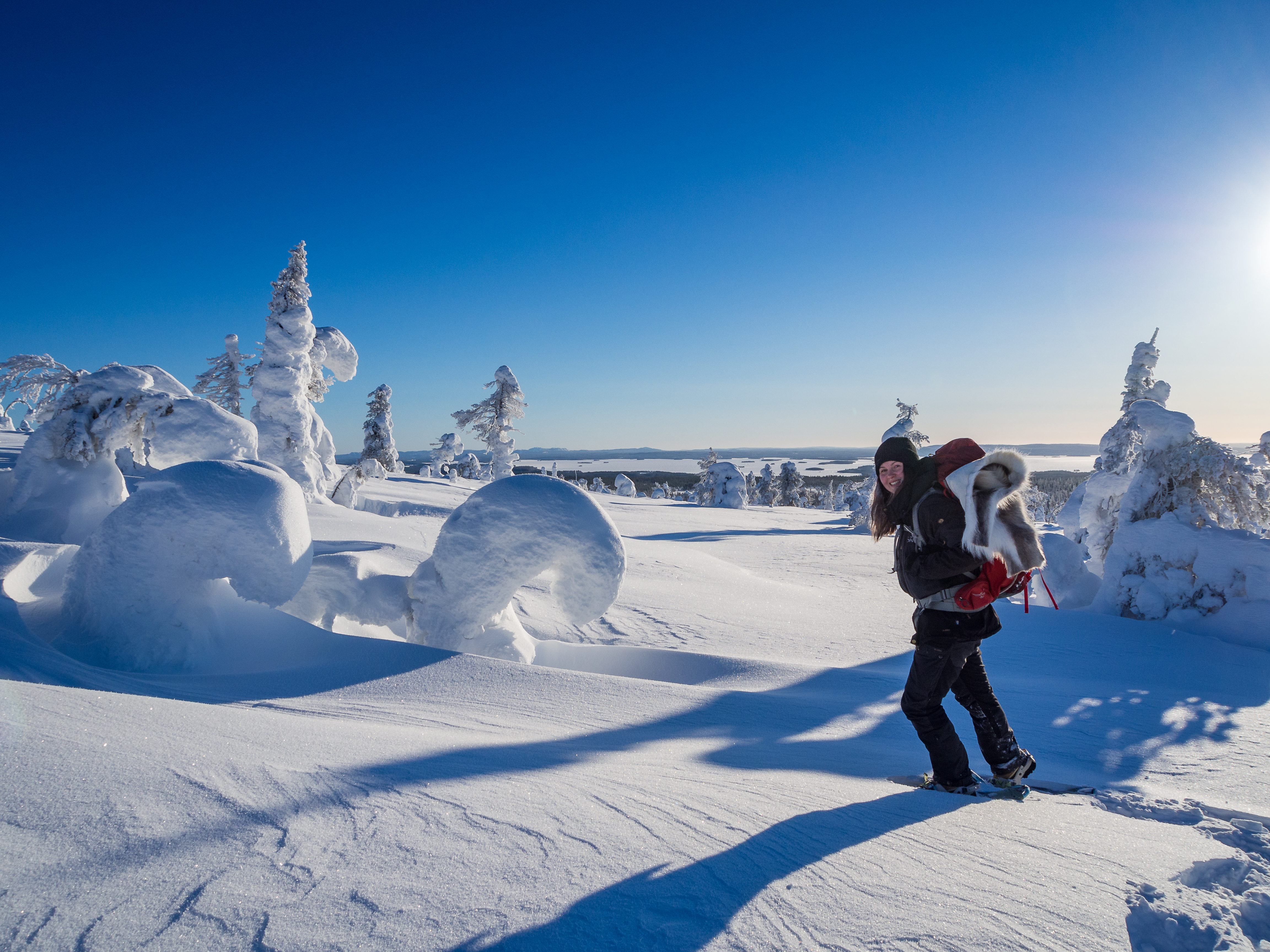 Snowshoe hike to Riisitunturi National park