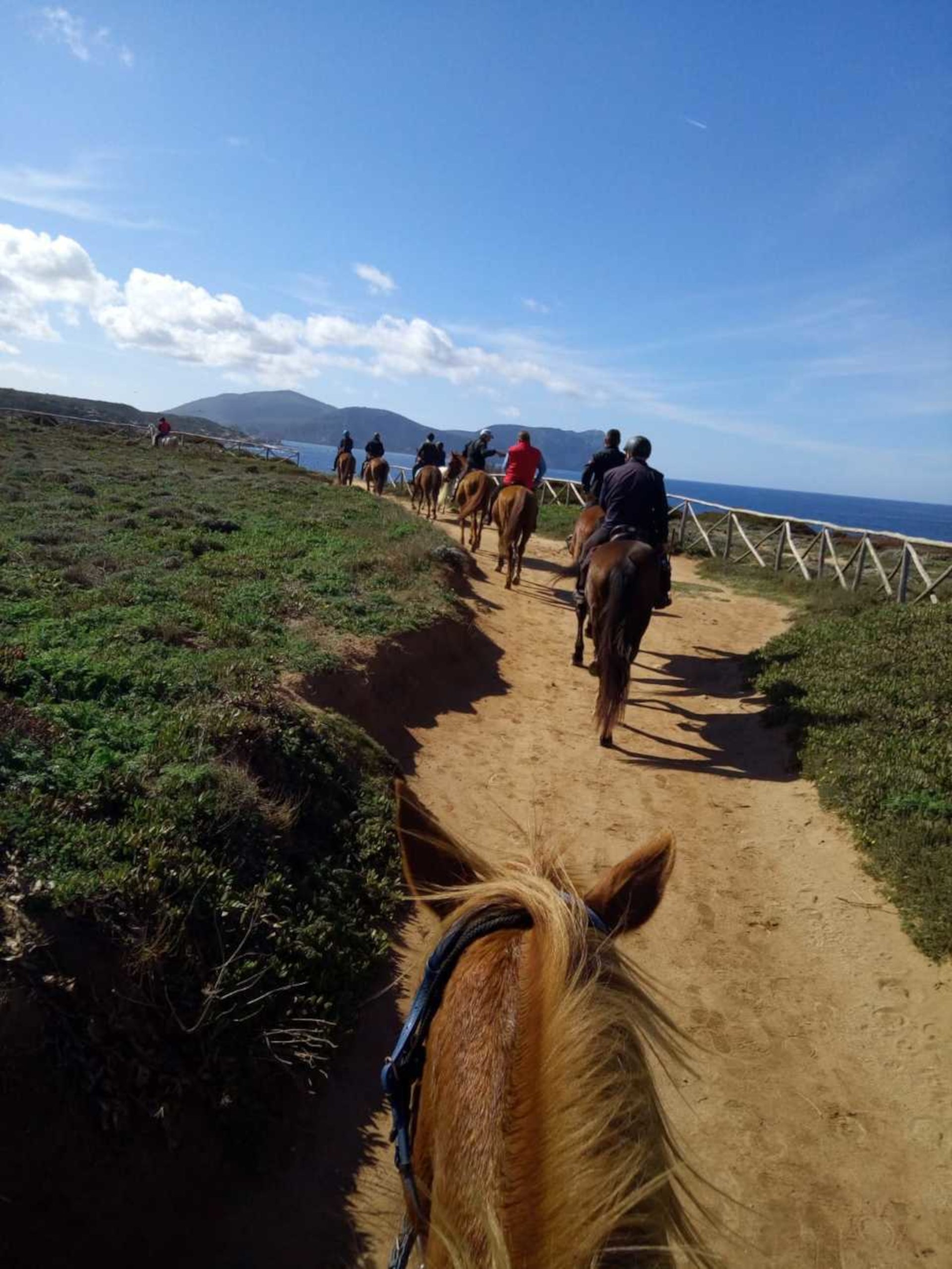 Alghero: horseback ride in Porto Ferro and Lake Baratz