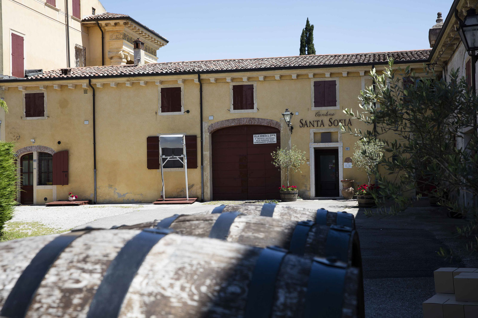 Stories of Valpolicella Wine tour and Tasting