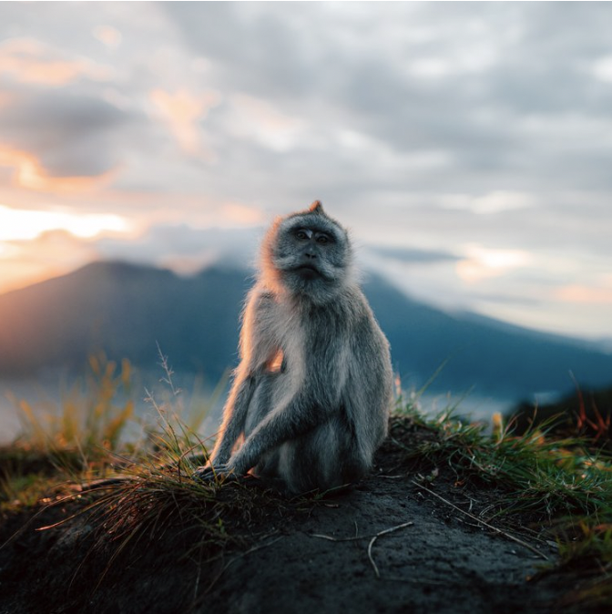 Mt Batur Sunrise hike
