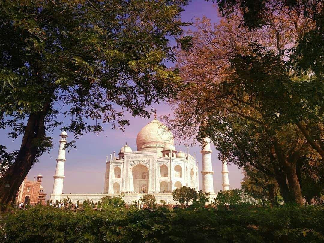 Taj Mahal Sunrise Tour