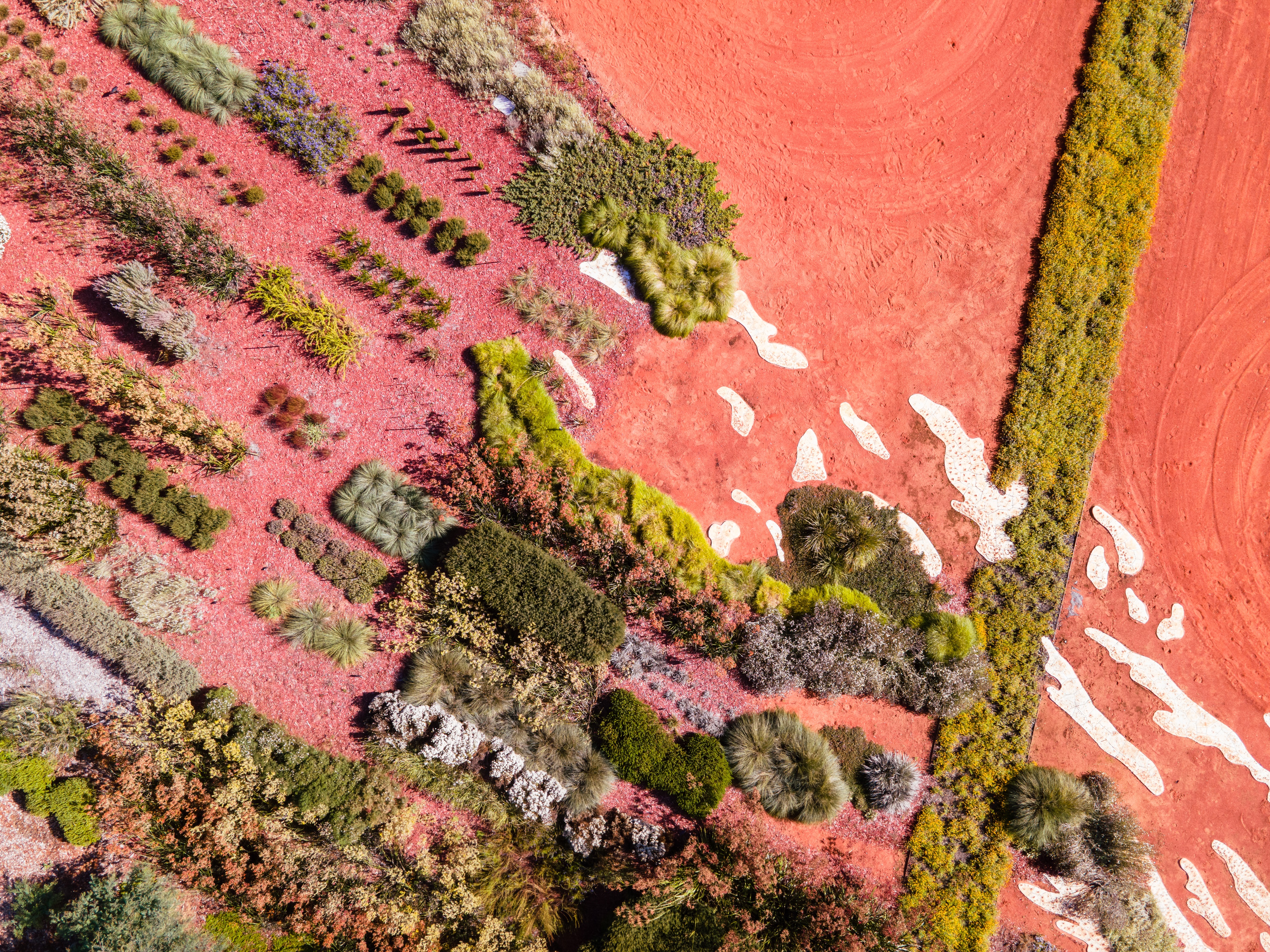 Garden Highlights Walk - Private Walking Tour